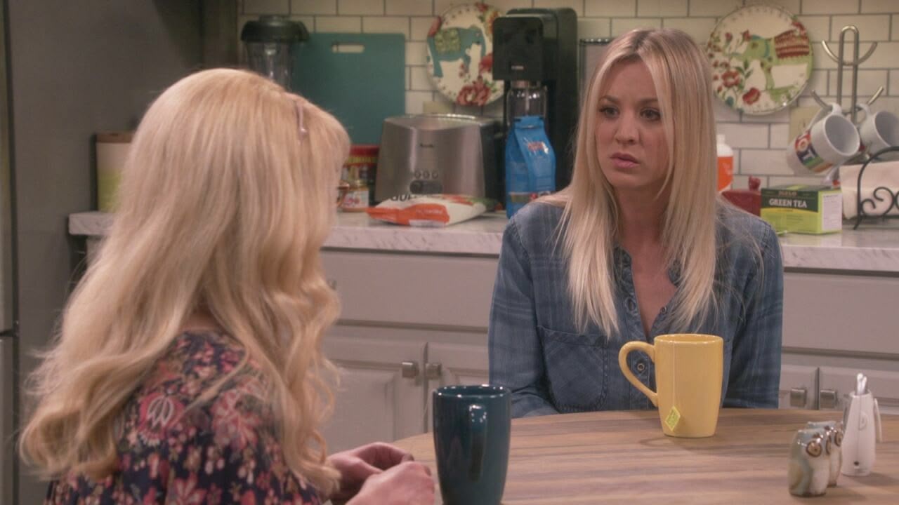 S11 Ep22 - Big Bang Theory
