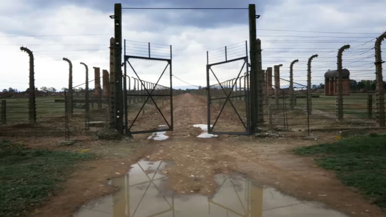 Speciale Tg1 - \"Il respiro di Shlomo\"