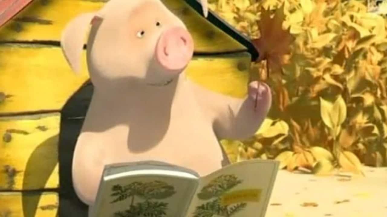 Masha e Orso - S2E17 - Supermasha