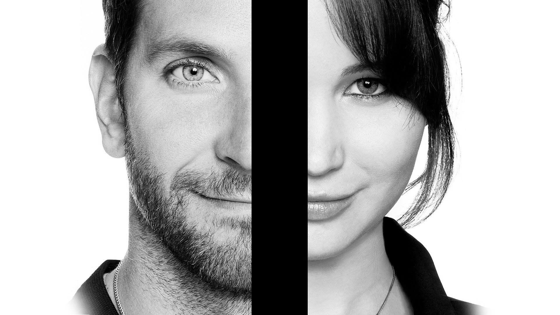Il lato positivo - Silver Linings Playbook