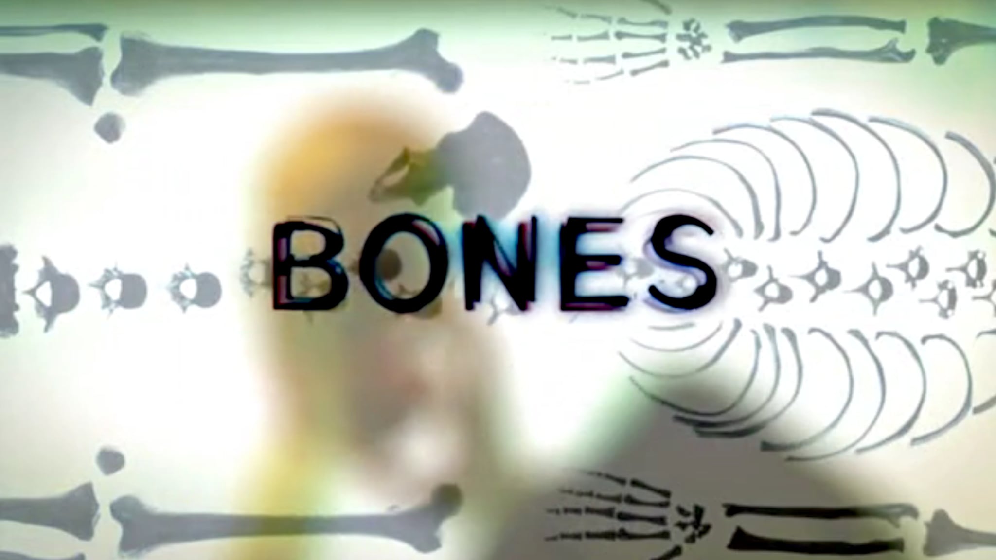 Bones S2E2 - Due scheletri nell'acqua