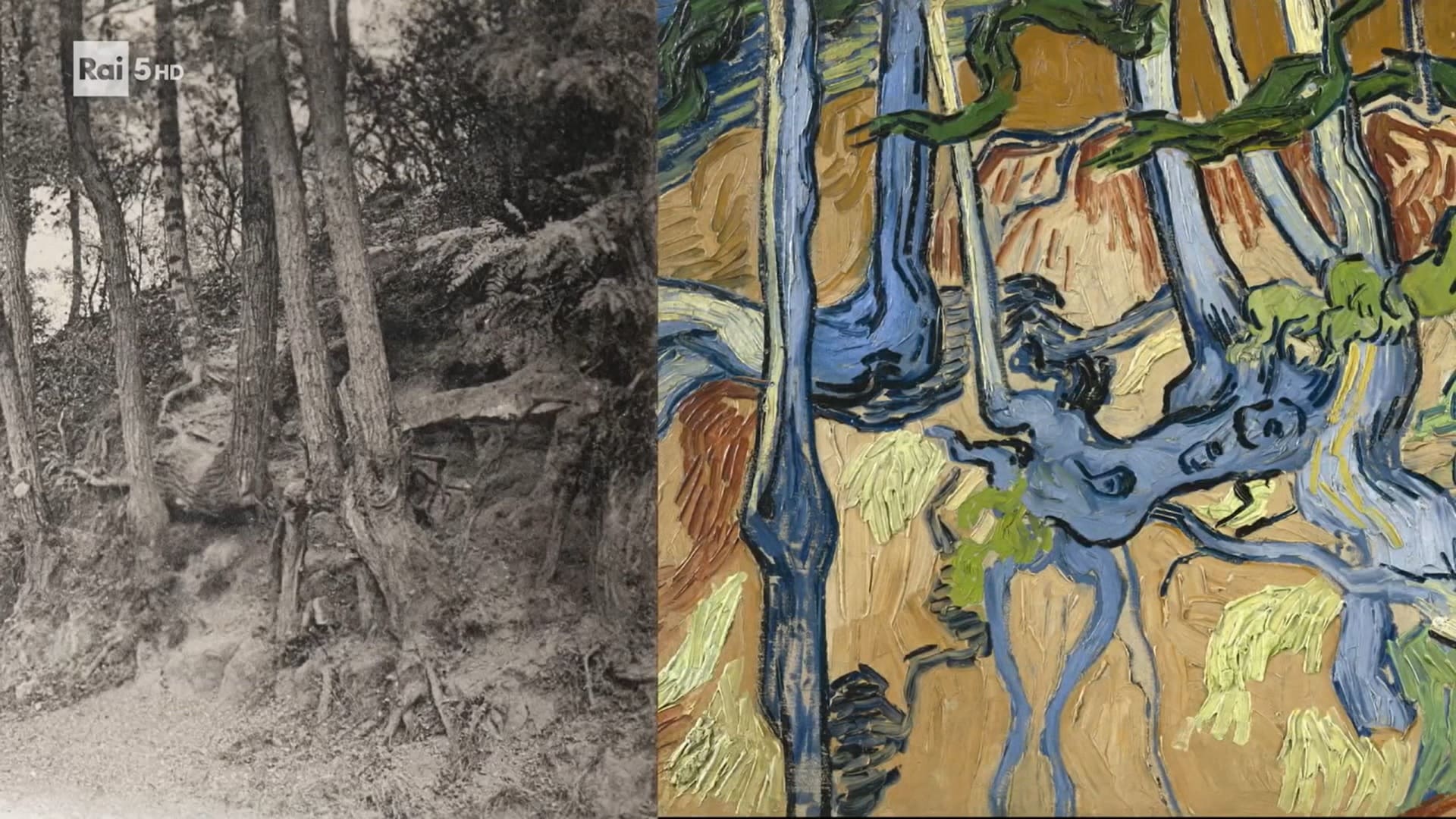 Art Night Puntata 13 - Il mistero dell'ultimo Van Gogh