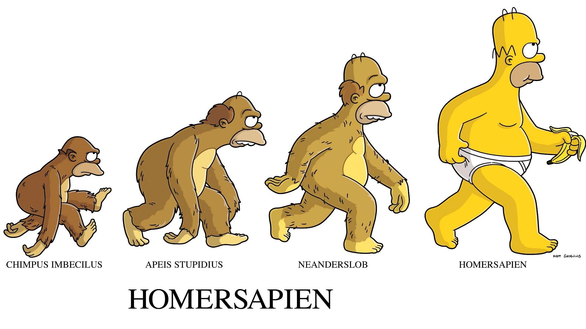 S17 Ep21 - I Simpson