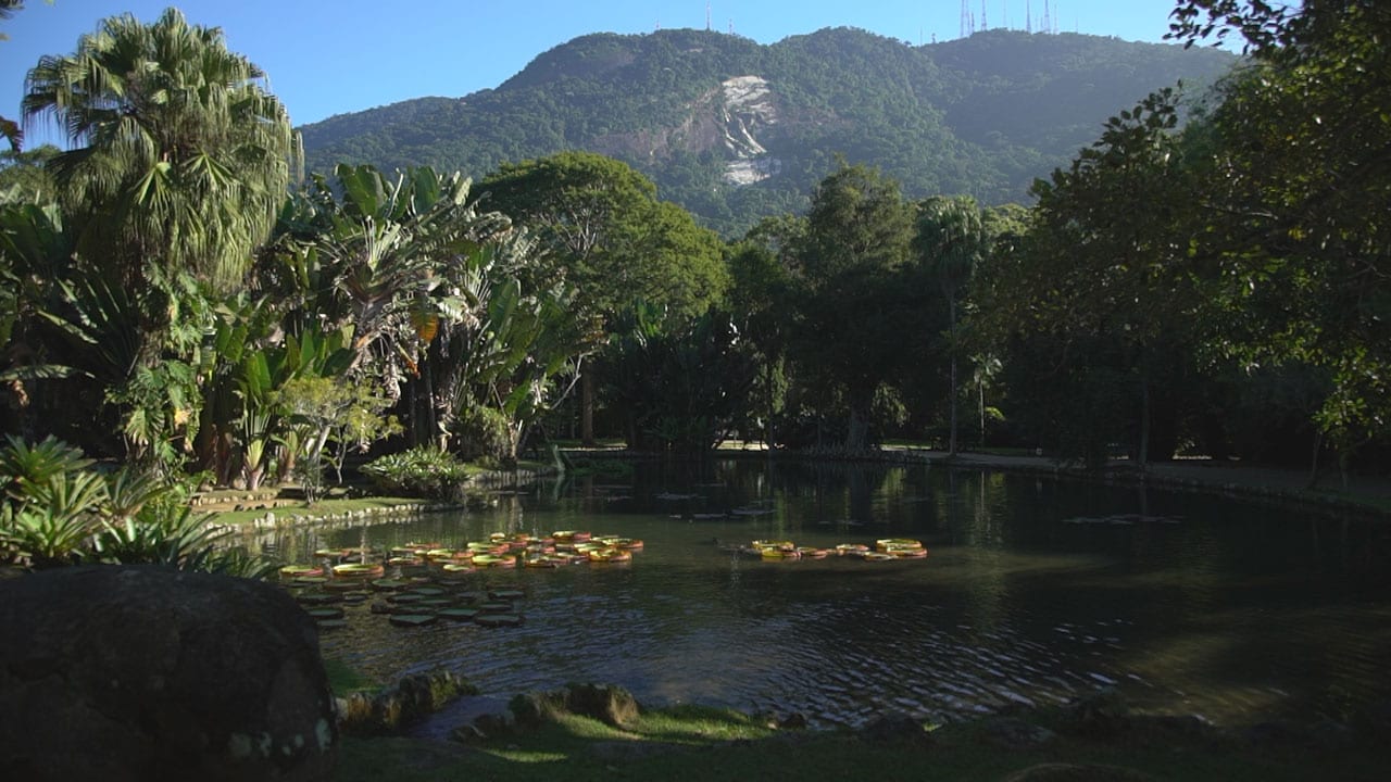 Giardini fantastici e dove trovarli S4E7 - Il giardino botanico di Rio