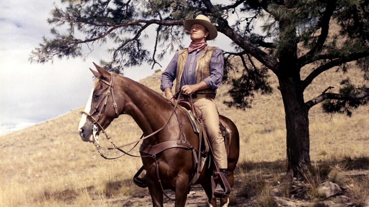 Chisum
