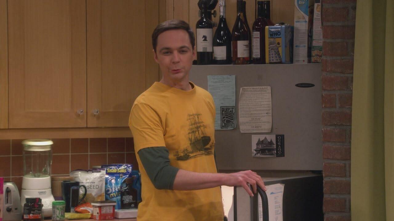 S12 Ep18 - THE BIG BANG THEORY
