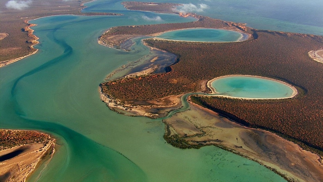 Wild Australia - E4 - Le coste