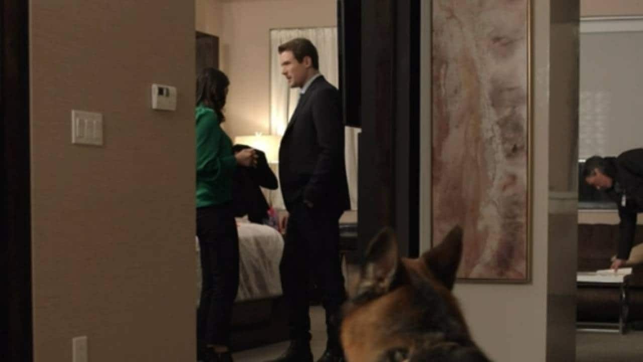 Hudson e Rex S2E14 - La tela del ragno