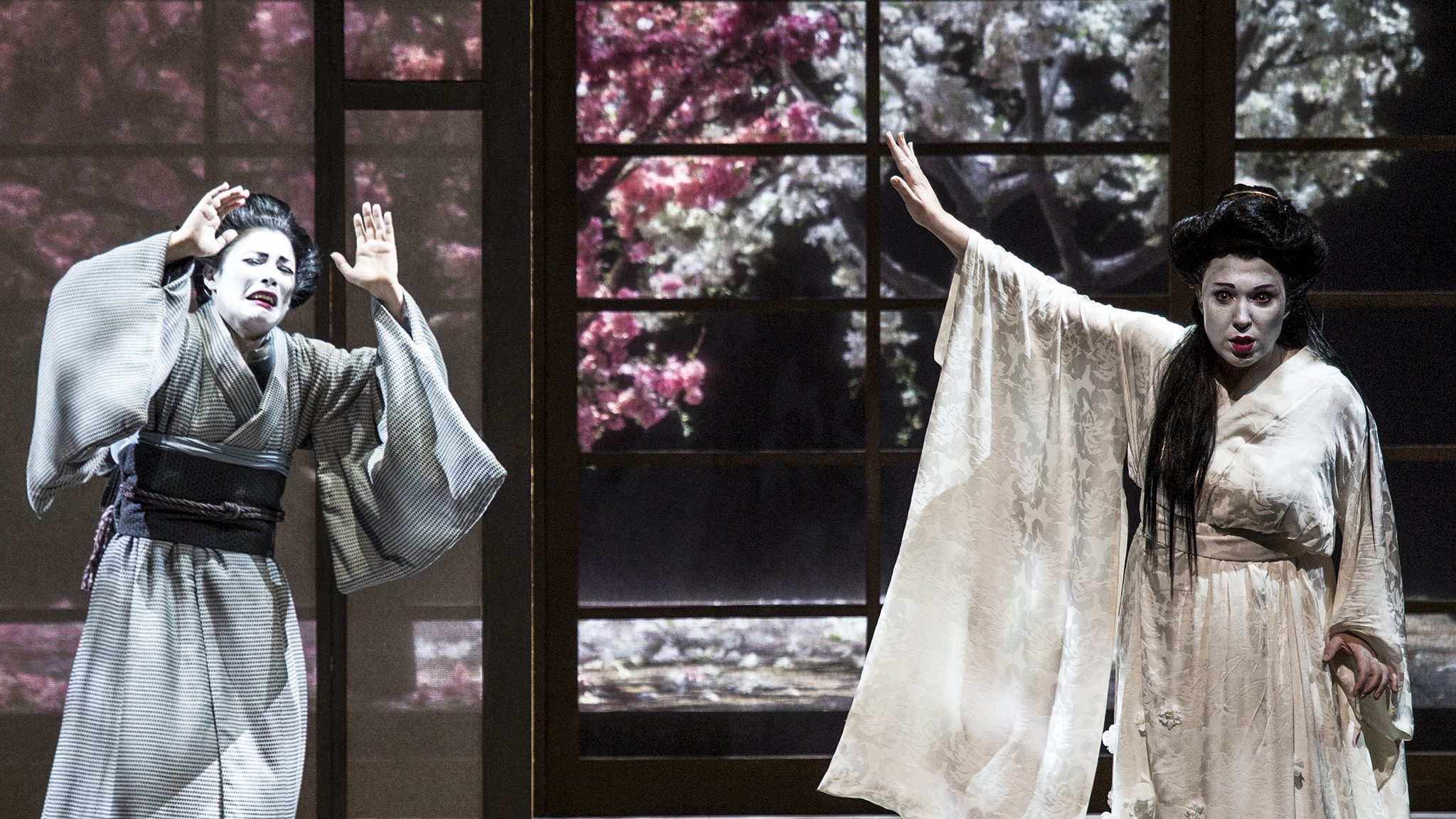 Opera - Madama Butterfly