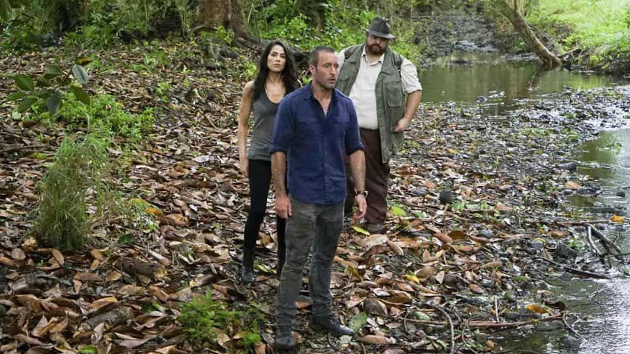 Hawaii Five-0 S8E20 - La tomba del re