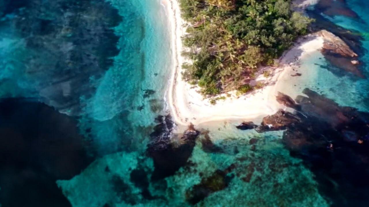 S1 Ep4 - L' isola dei famosi