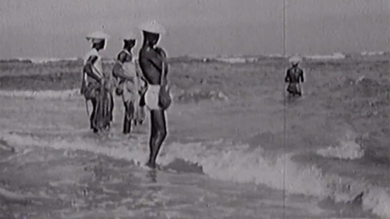 L'India vista da Rossellini - P. 7 - Il Kerala