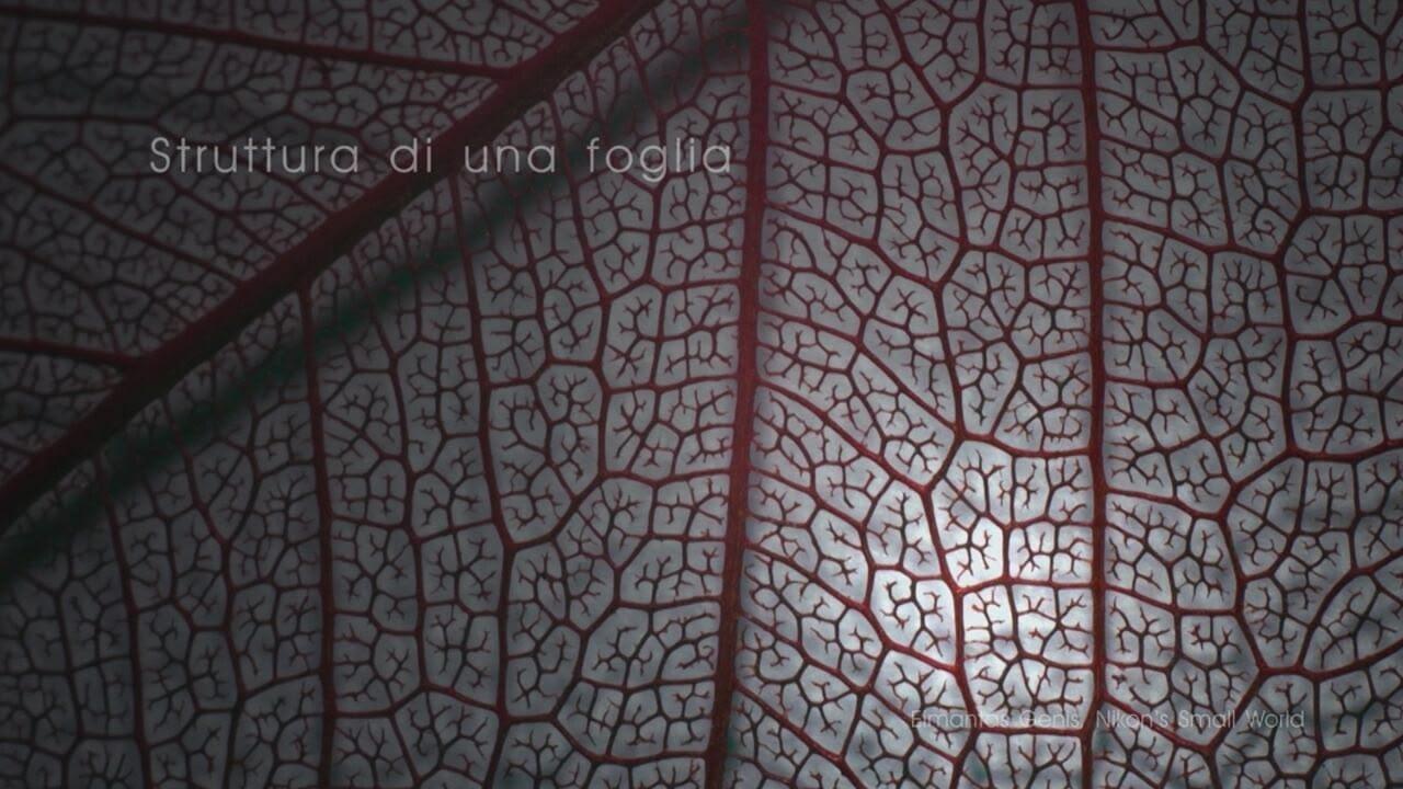 S1 Ep1 - Dimensioni che contano - dagli atomi..