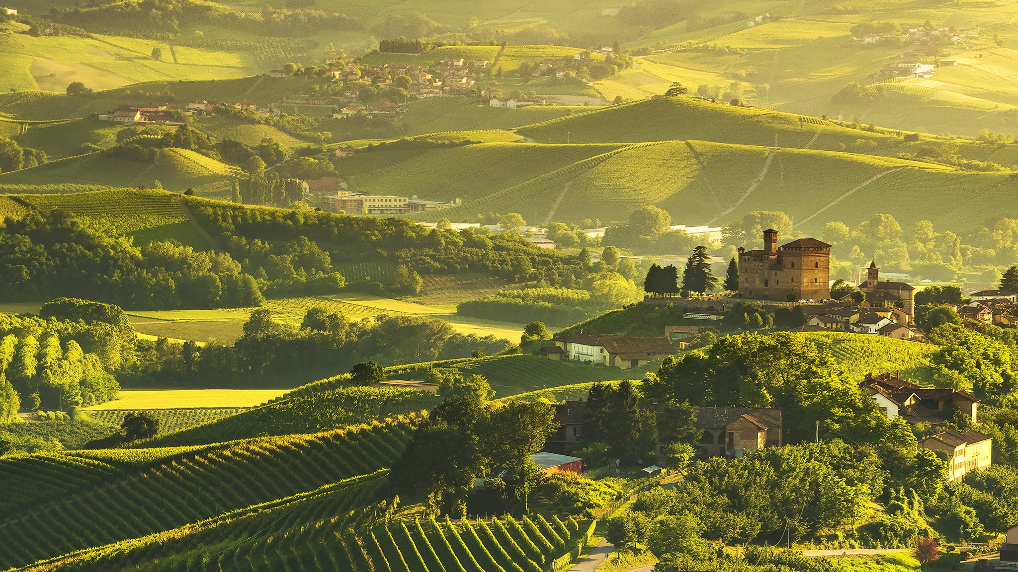 Paesaggi Vitivinicoli Langhe Roero e Mon