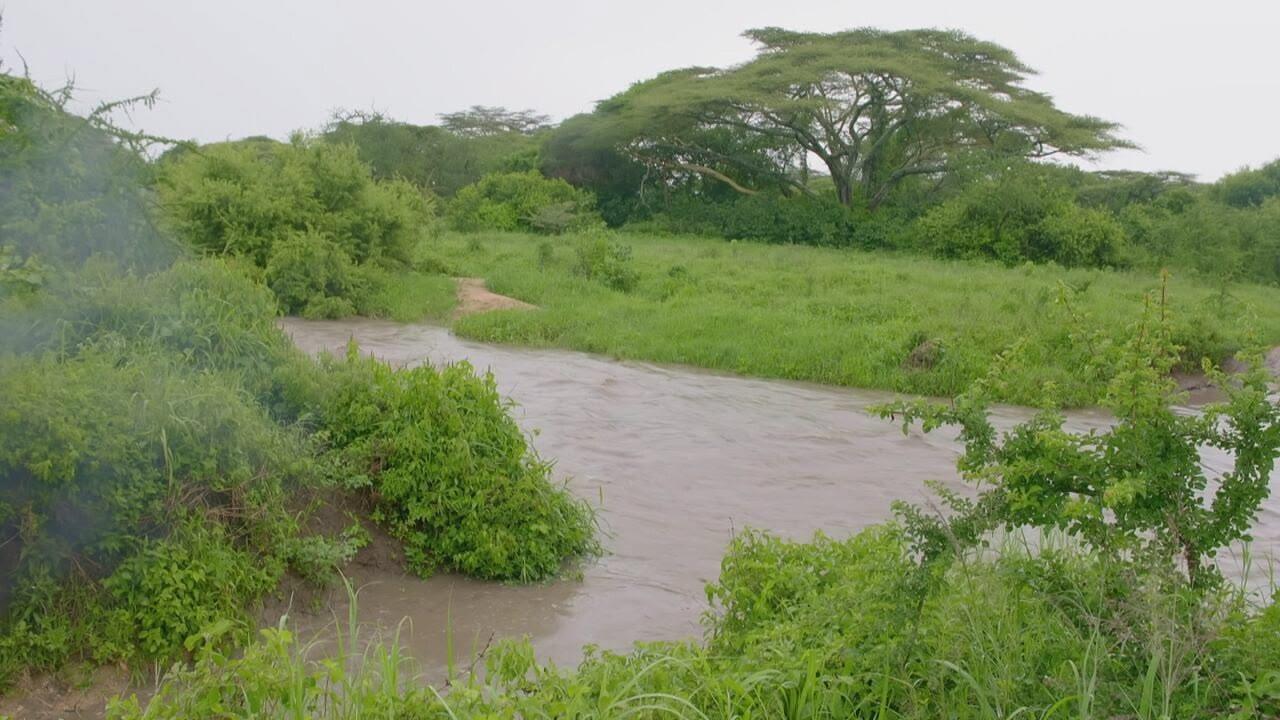 S1 Ep3 - Oasi africane