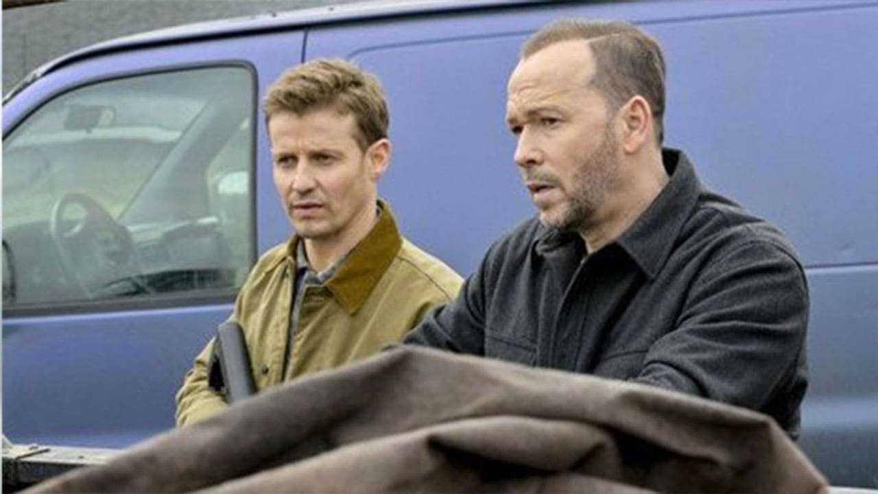 Blue Bloods S11E15 - Sotto copertura: parte 1