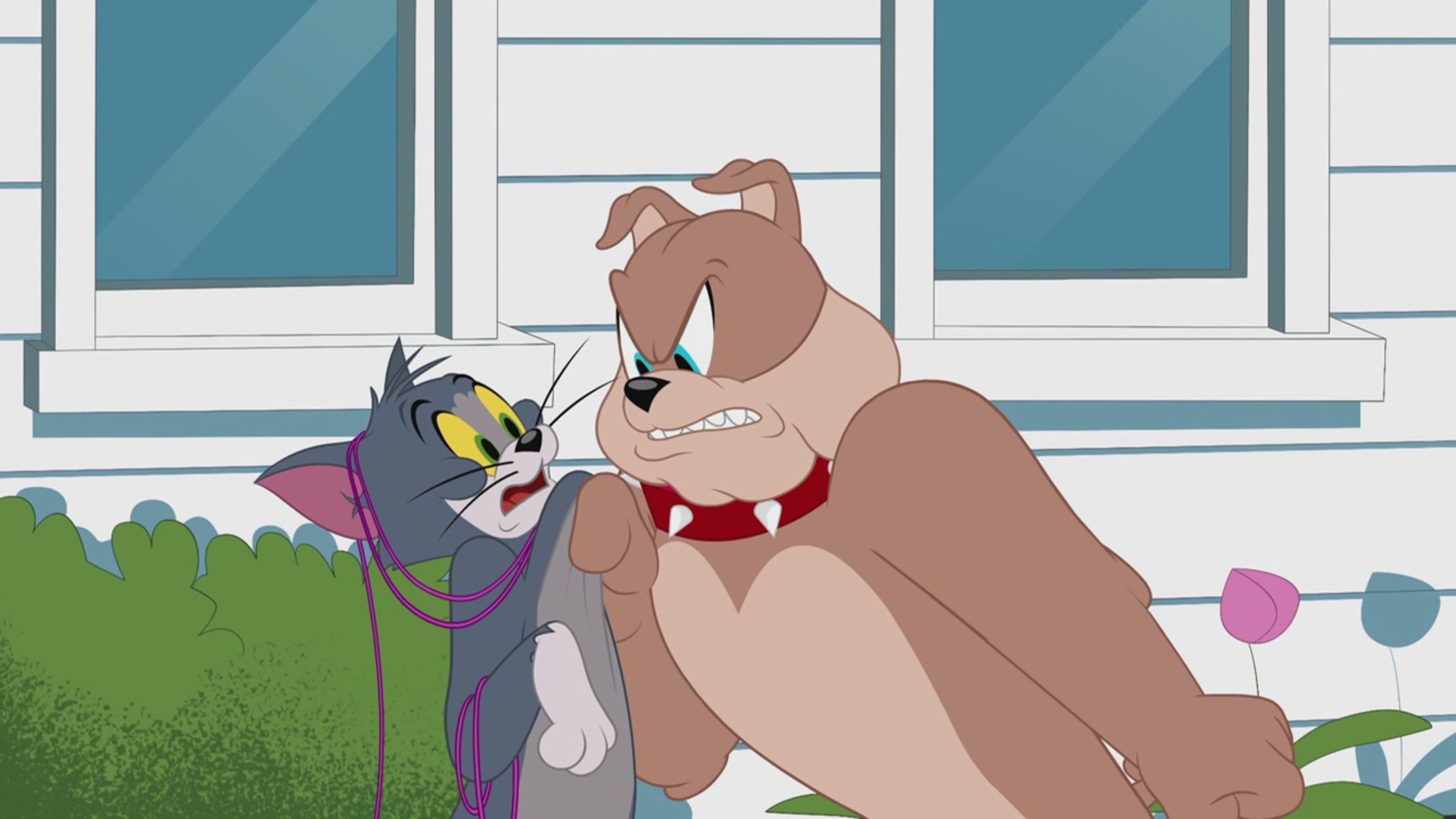 The Tom and Jerry Show - S4 Ep.17 - Errore gatt-astrofico