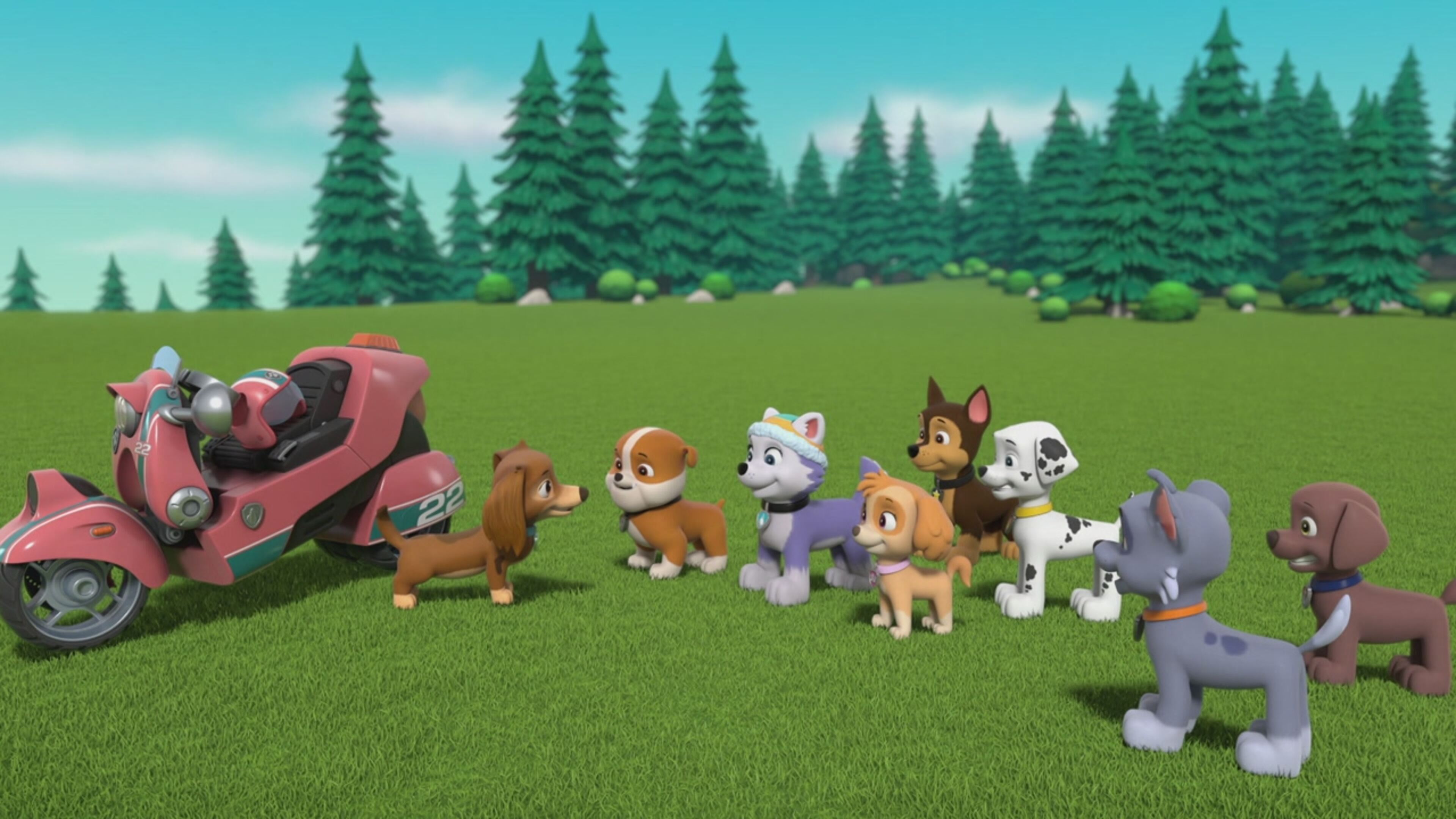 Paw Patrol - S10 Ep.10 - Il salvataggio in montagna di Liberty/I cuccioli salvano la signora Yumi volante