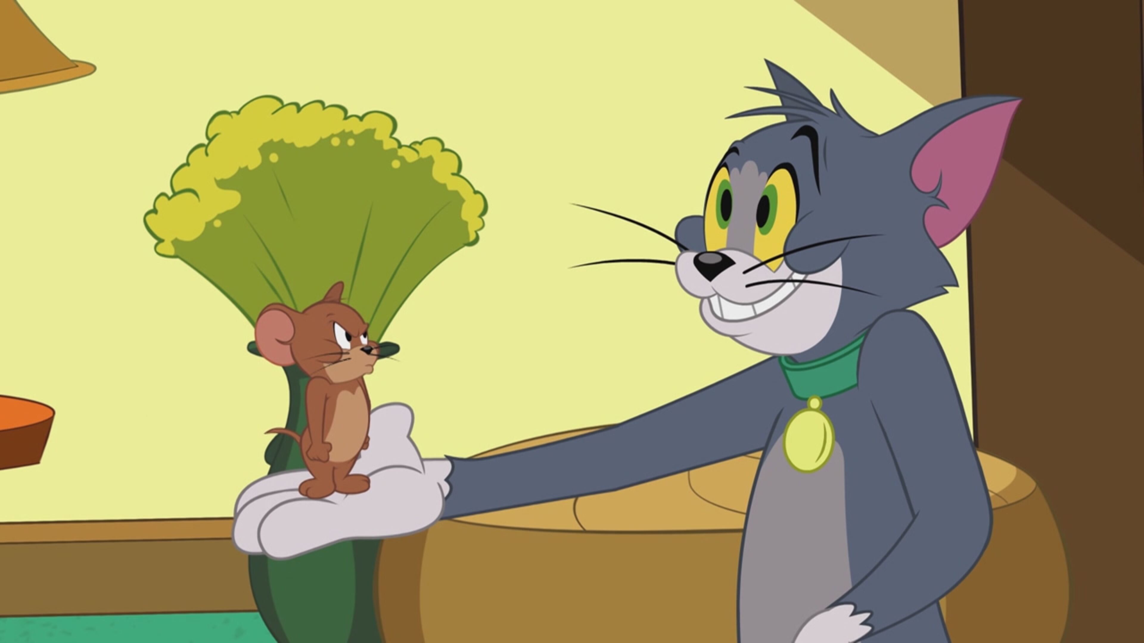 Tom  Jerry Show - S3 Ep.8 - In vacanza dalla zia