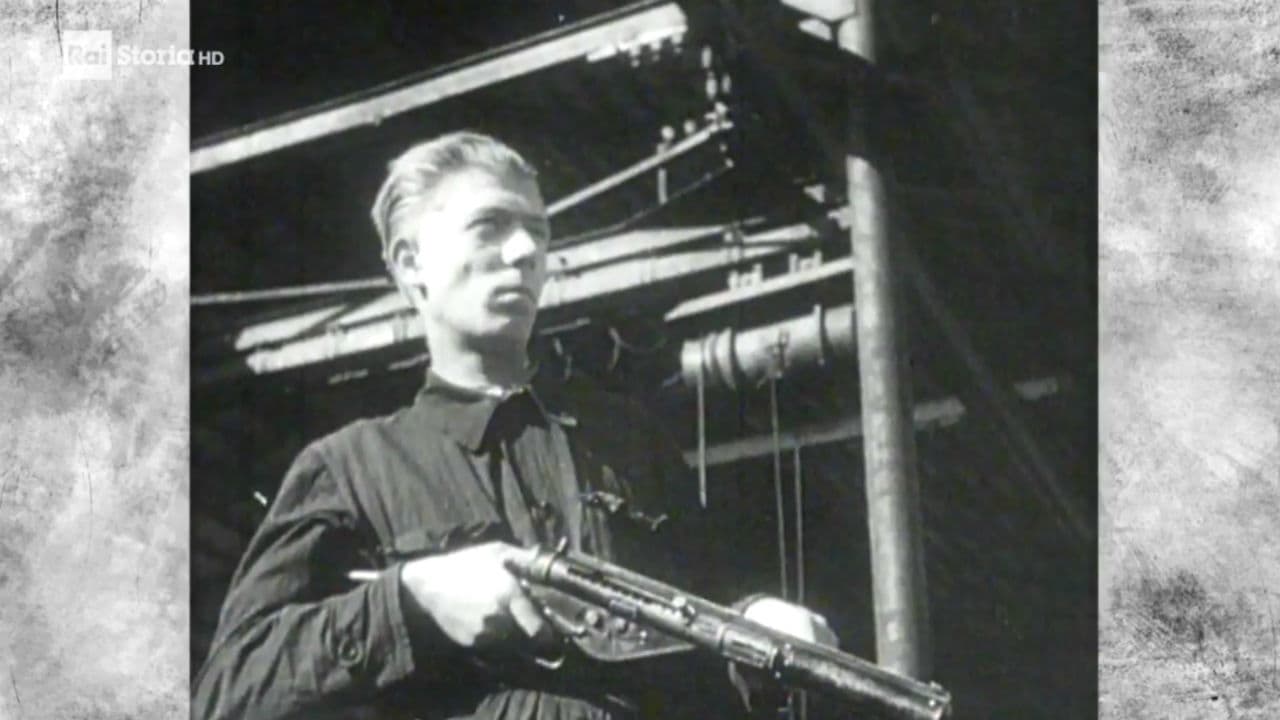 1939-1945.La II Guerra Mondiale La lunga campagna d'Italia