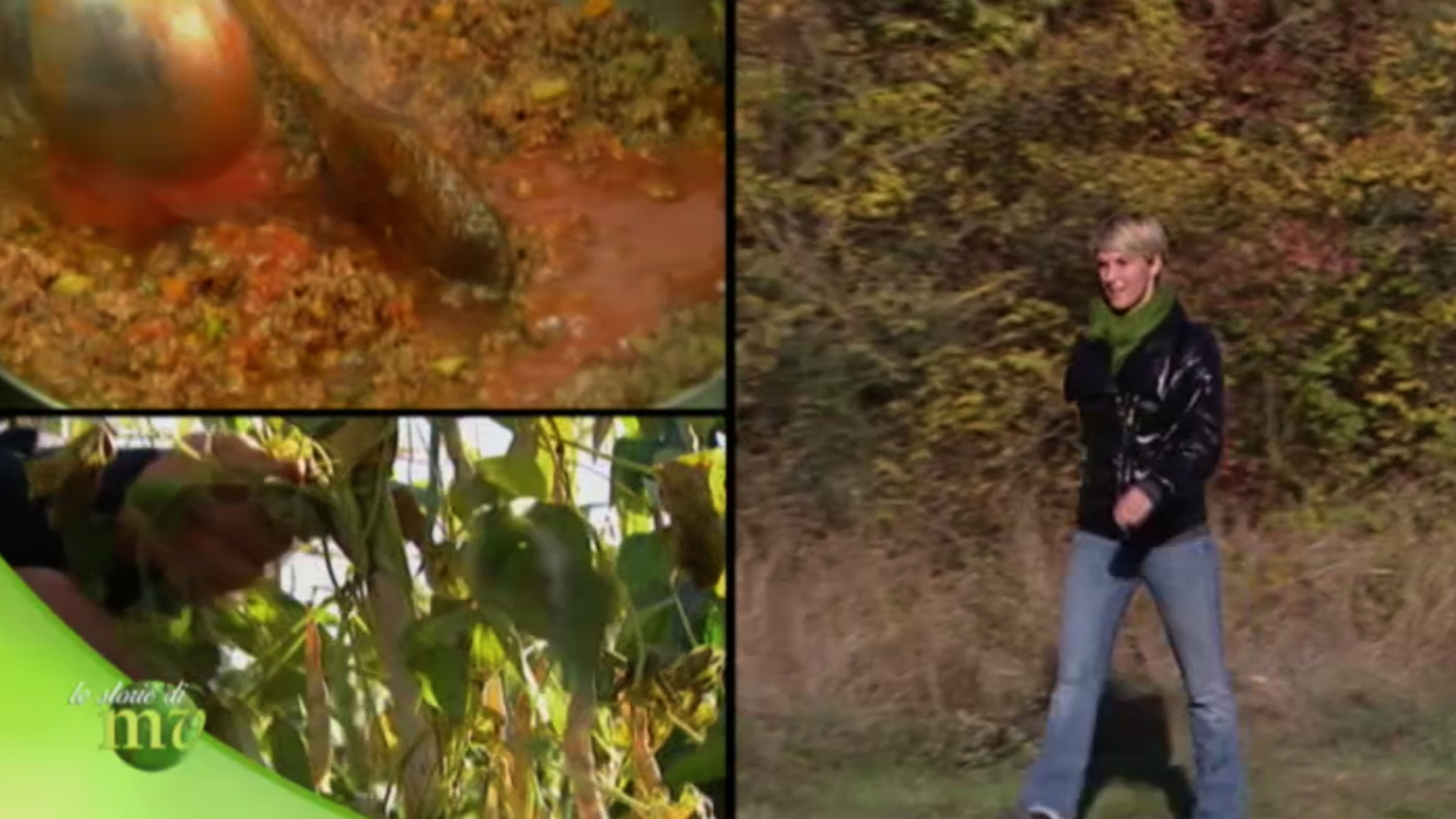 Le storie di Melaverde