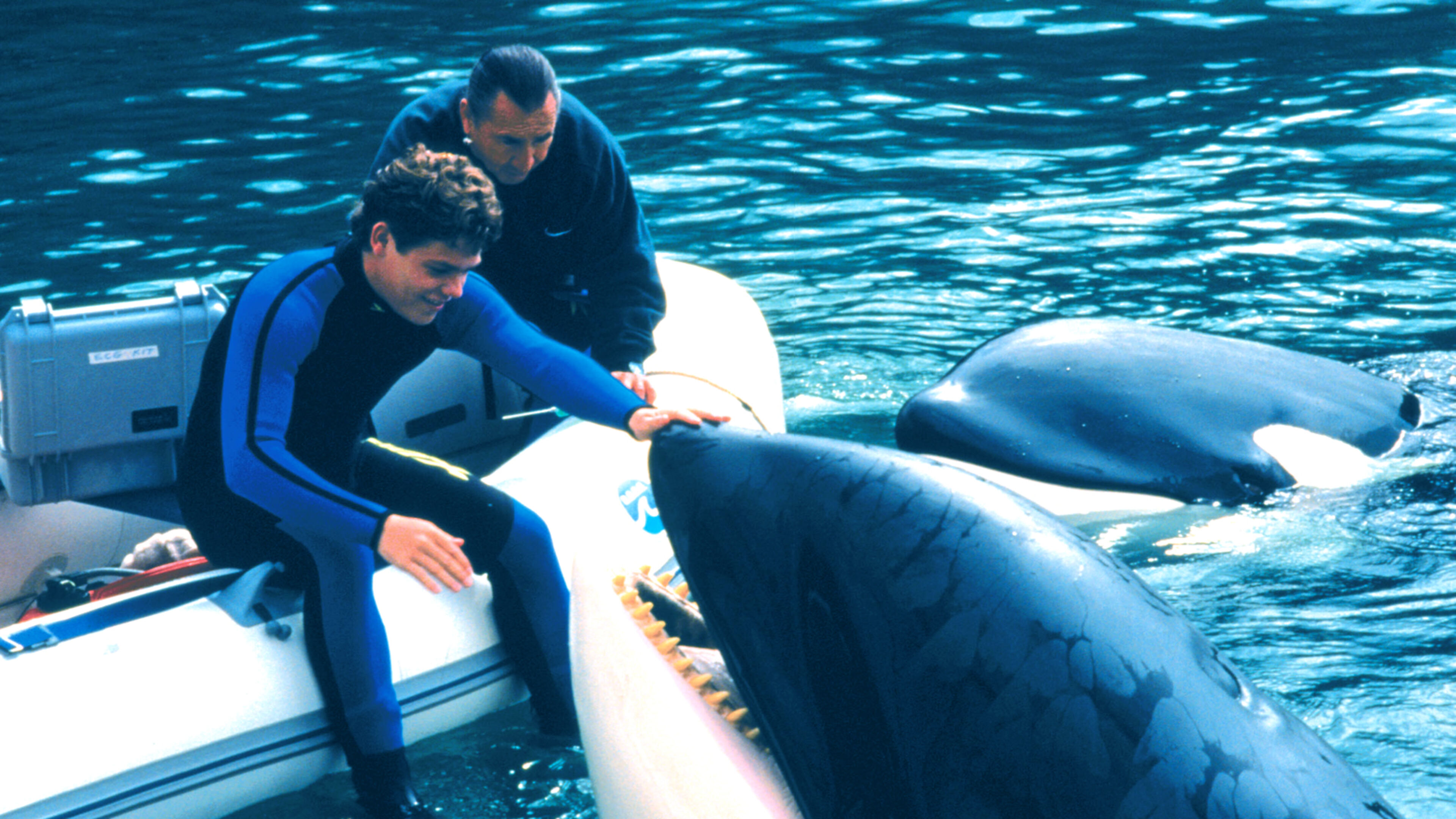 Free Willy 3 - Il salvataggio