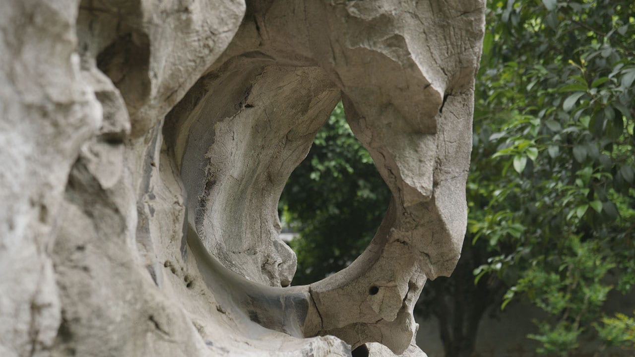 Giardini fantastici e dove trovarli S4E4 - Il giardino del dolce oziare