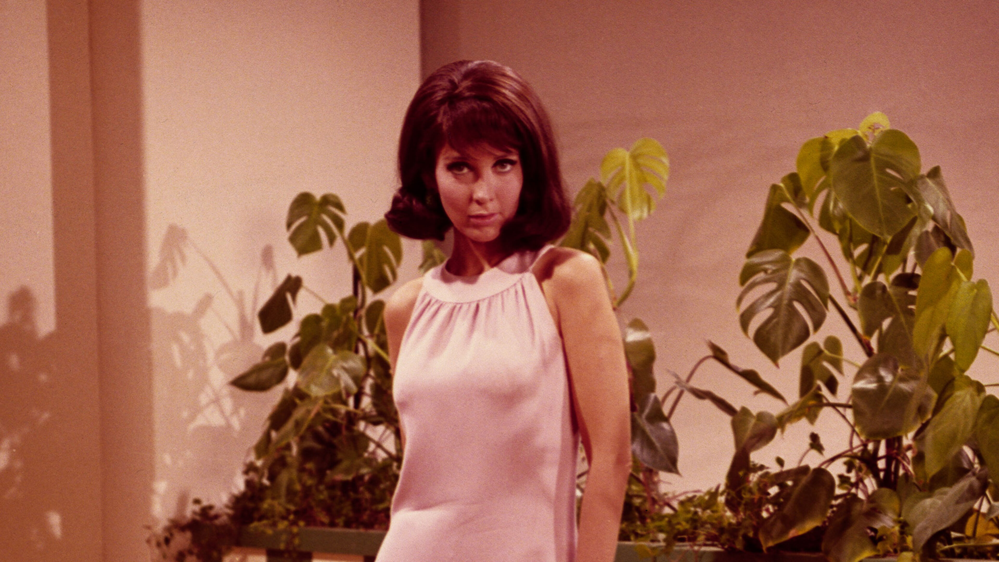 Il club degli intrighi