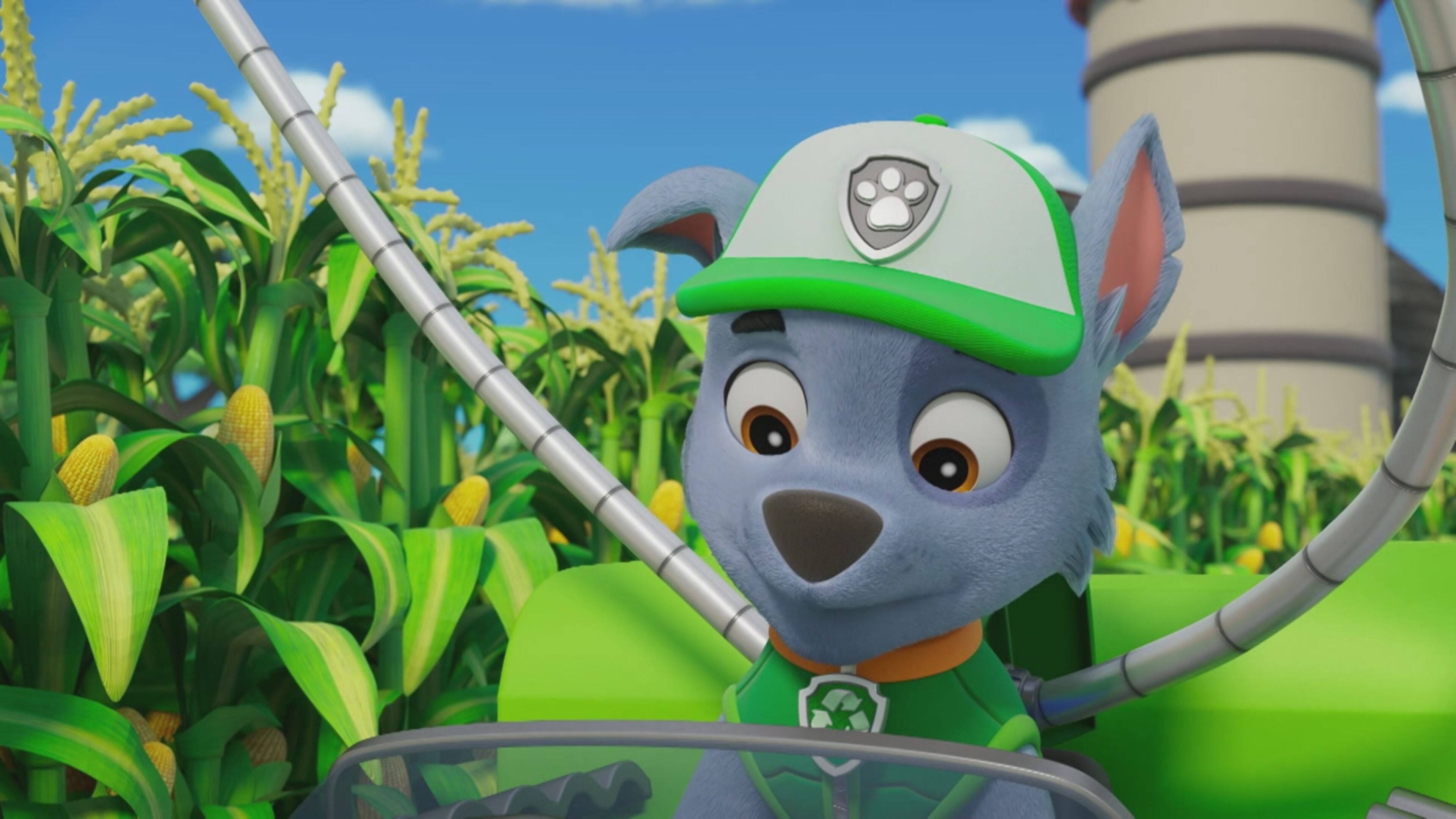 Paw Patrol - S11 Ep.8 - I cuccioli salvano le capre di montagna / I cuccioli salvano i cerchi nel campo di mais