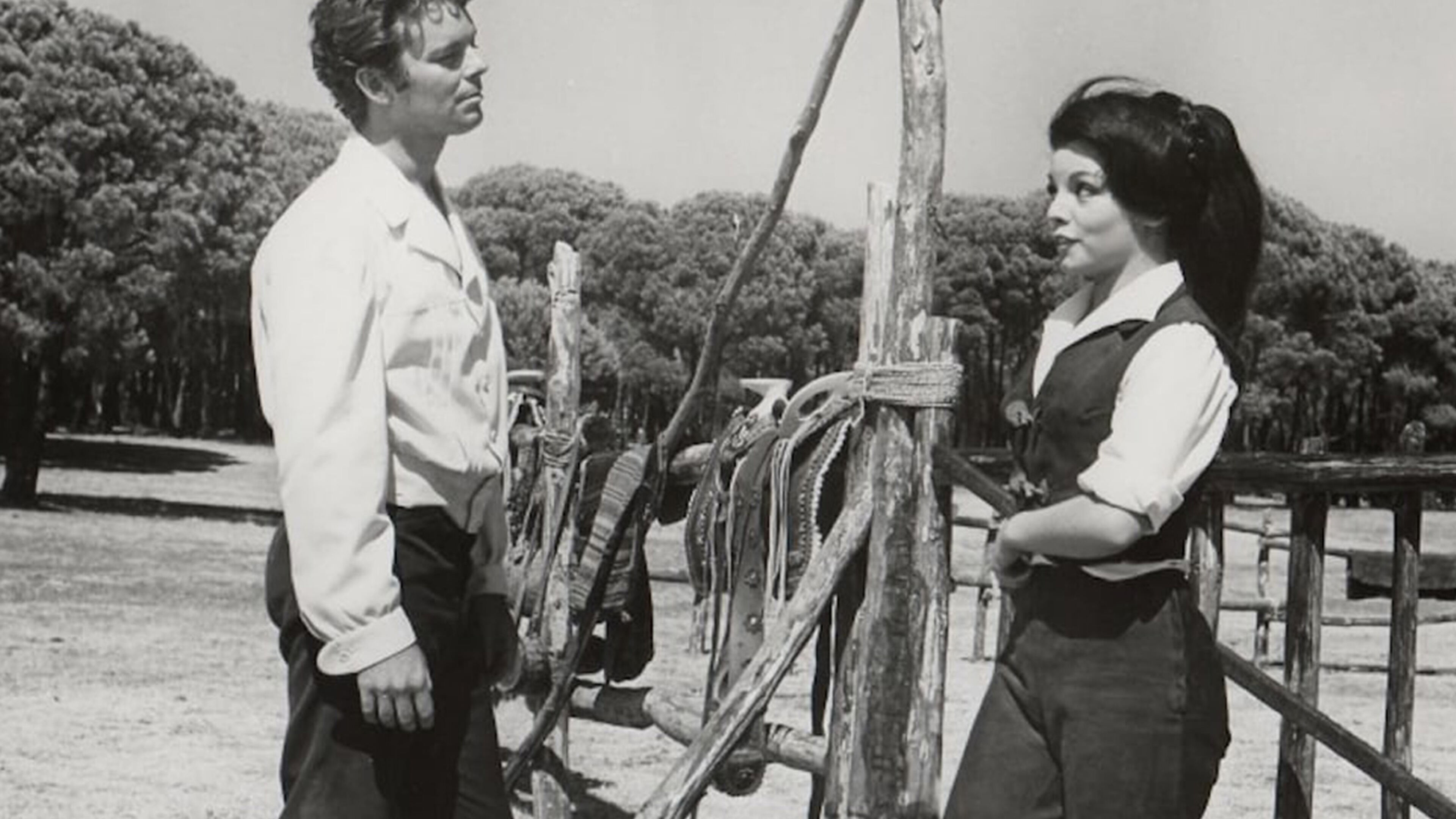 Mezzo dollaro d'argento