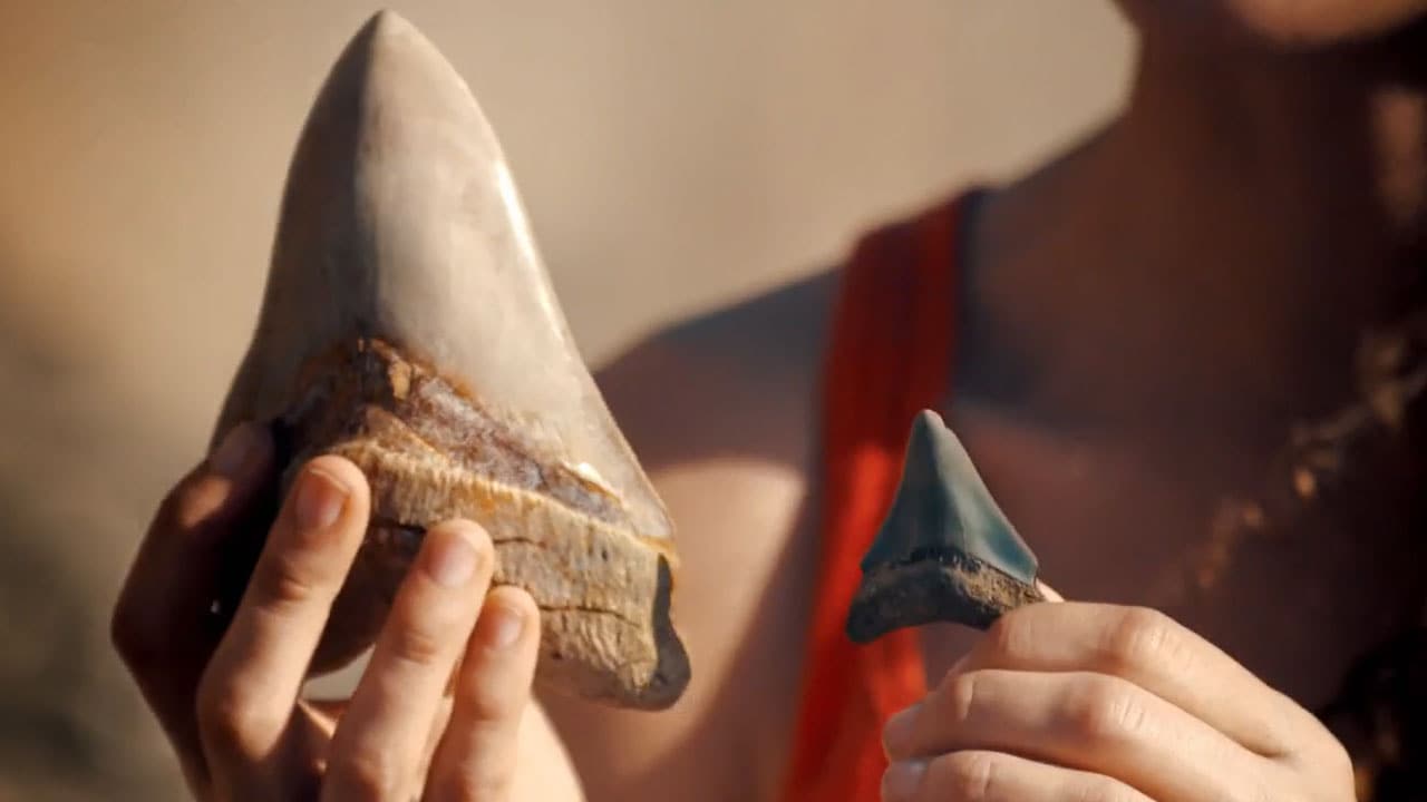 Le creature più grandi del mondo - S1E1 - Le creature acquatiche