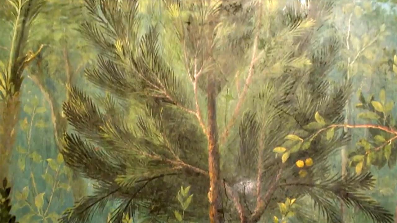 I colori dell'arte - S1E4 Verde