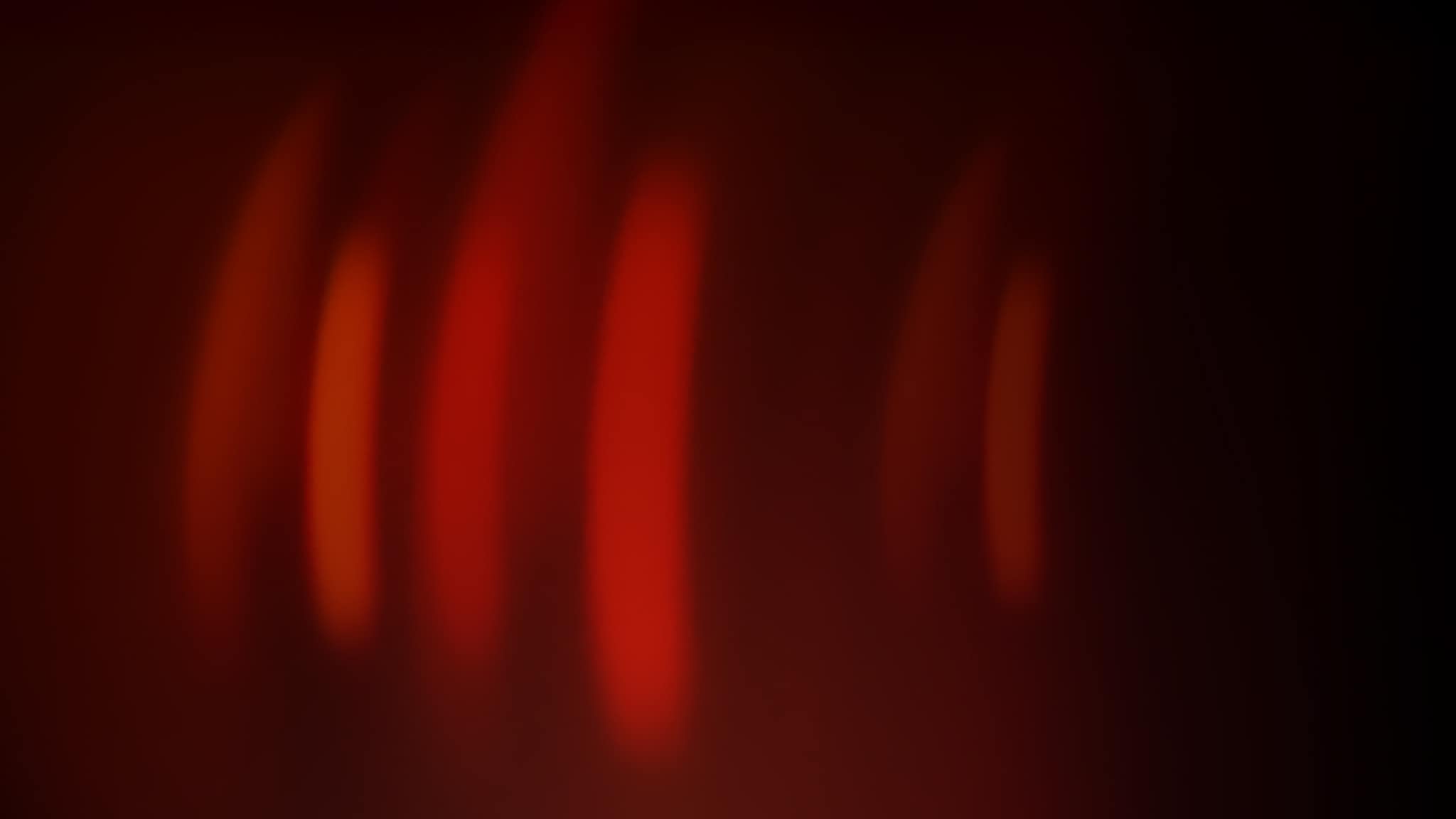 Spotlight - Puntata del 20/12/2025