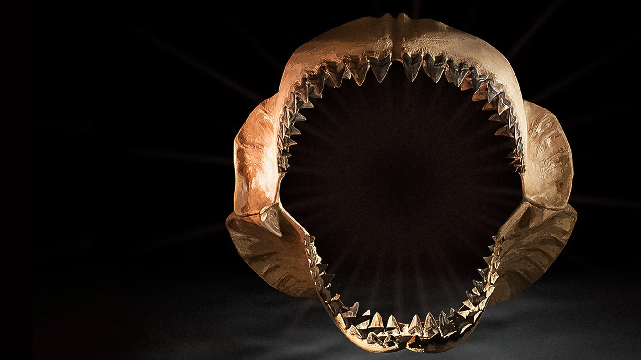 Le creature più grandi del mondo Ep. 2 L