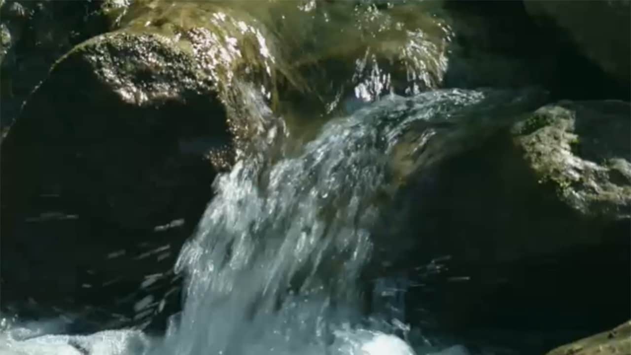 L'uomo dei boschi E3 - Nella foresta di Castagnaccia