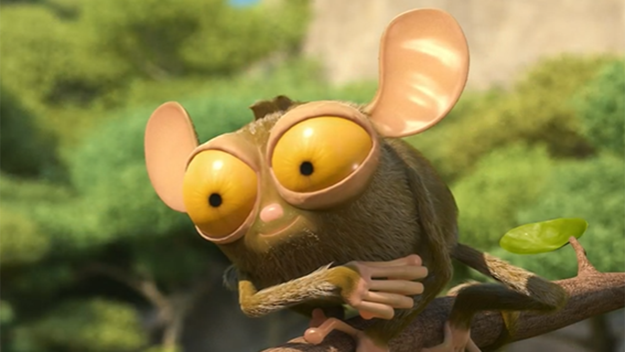 Vita da giungla alla riscossa! - S2E1 - Il cubo blu