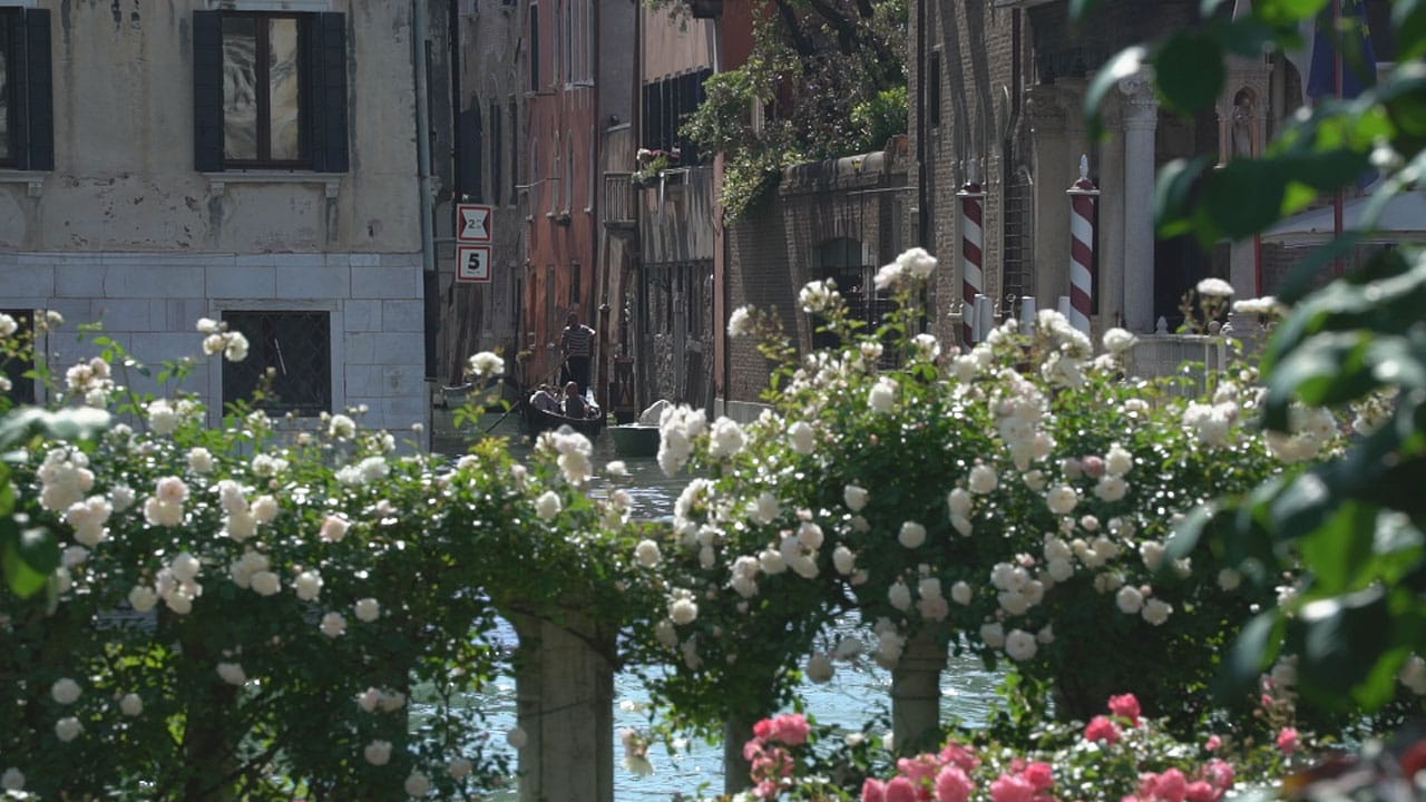 Giardini fantastici e dove trovarli S4E5 - Giardini veneziani