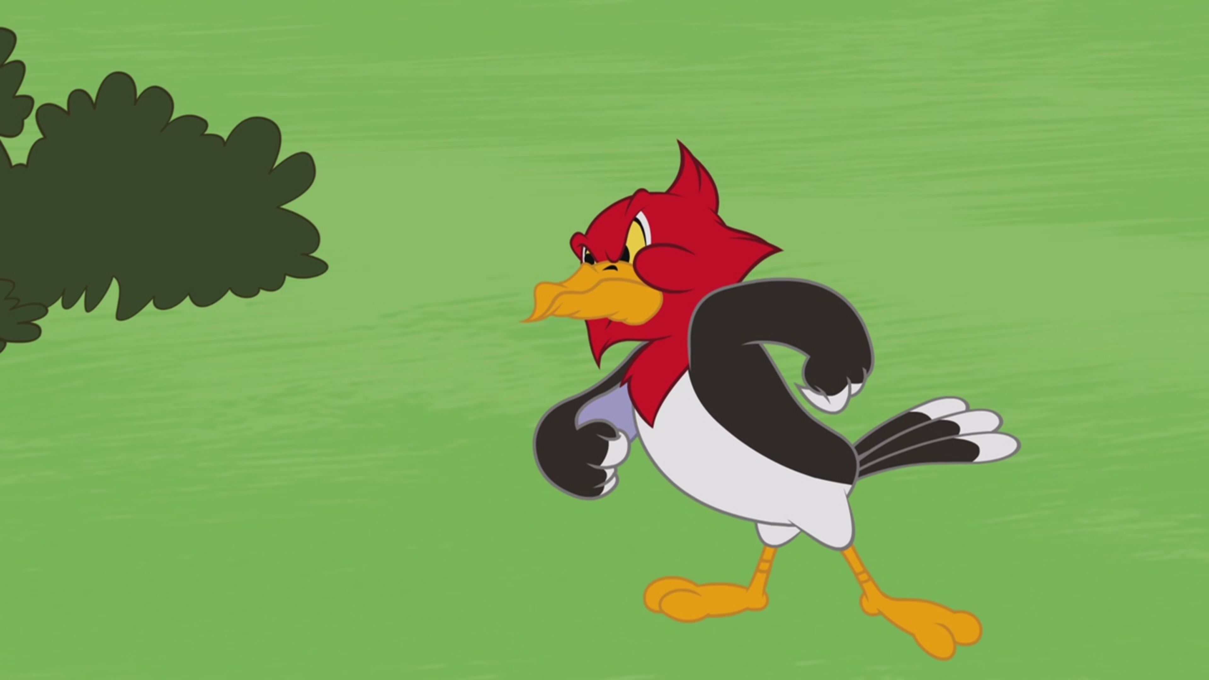 The Tom and Jerry Show - S4 Ep.78 - Colla attaccatutto