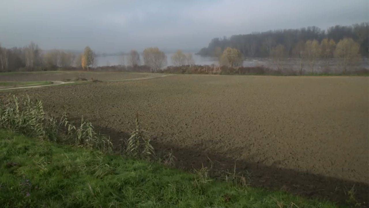 Lungo il fiume e sull'acqua - E5 - Il Po di Ferrara