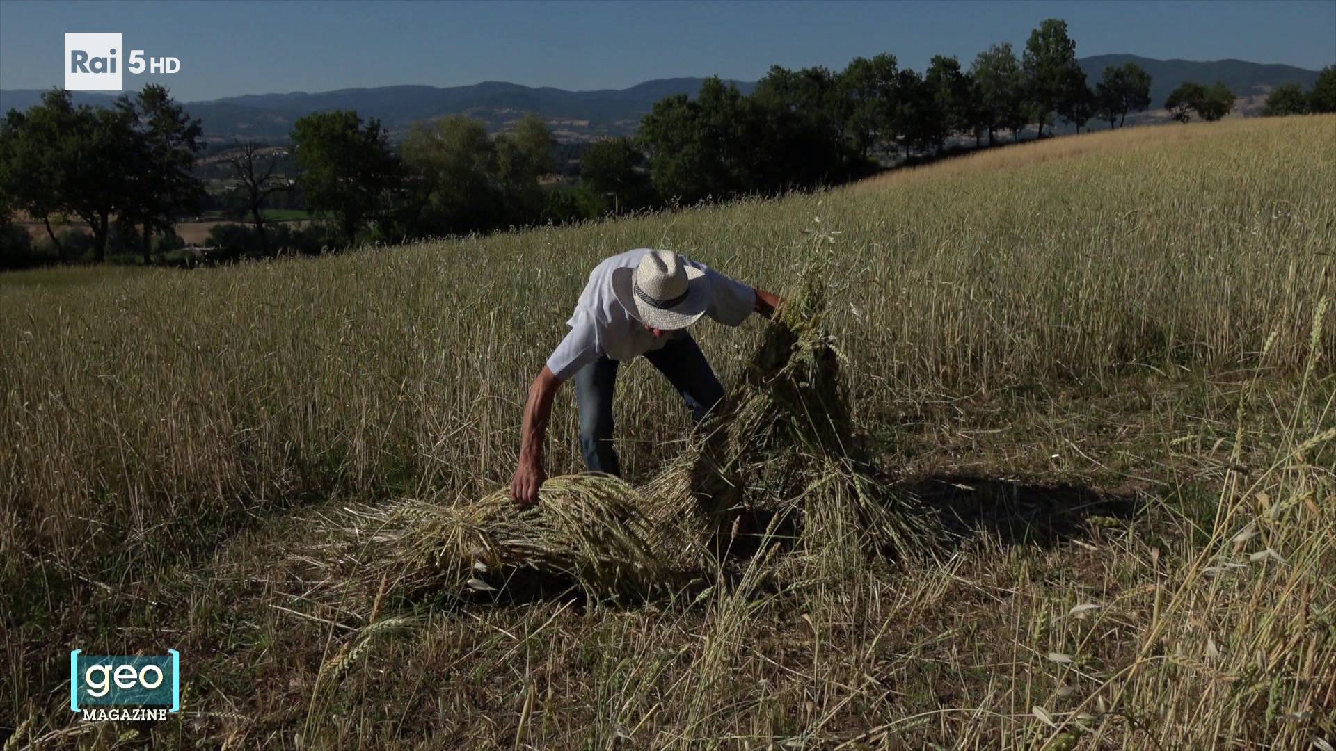 Geo Magazine del 11/08/2025 - Geo Magazine - 11/08/2025