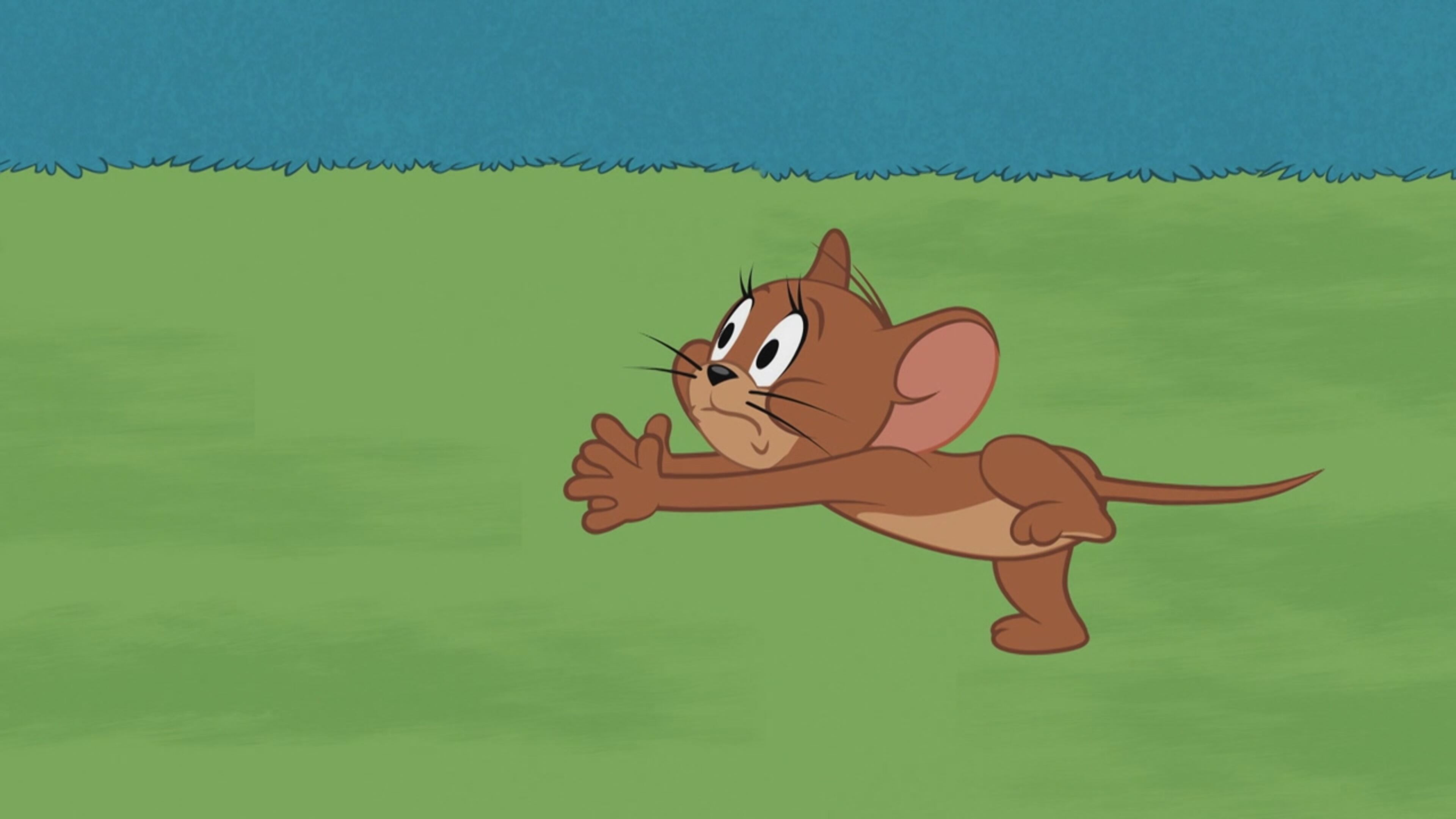 The Tom and Jerry Show - S5 Ep.31 - Una casa sull'albero divisa