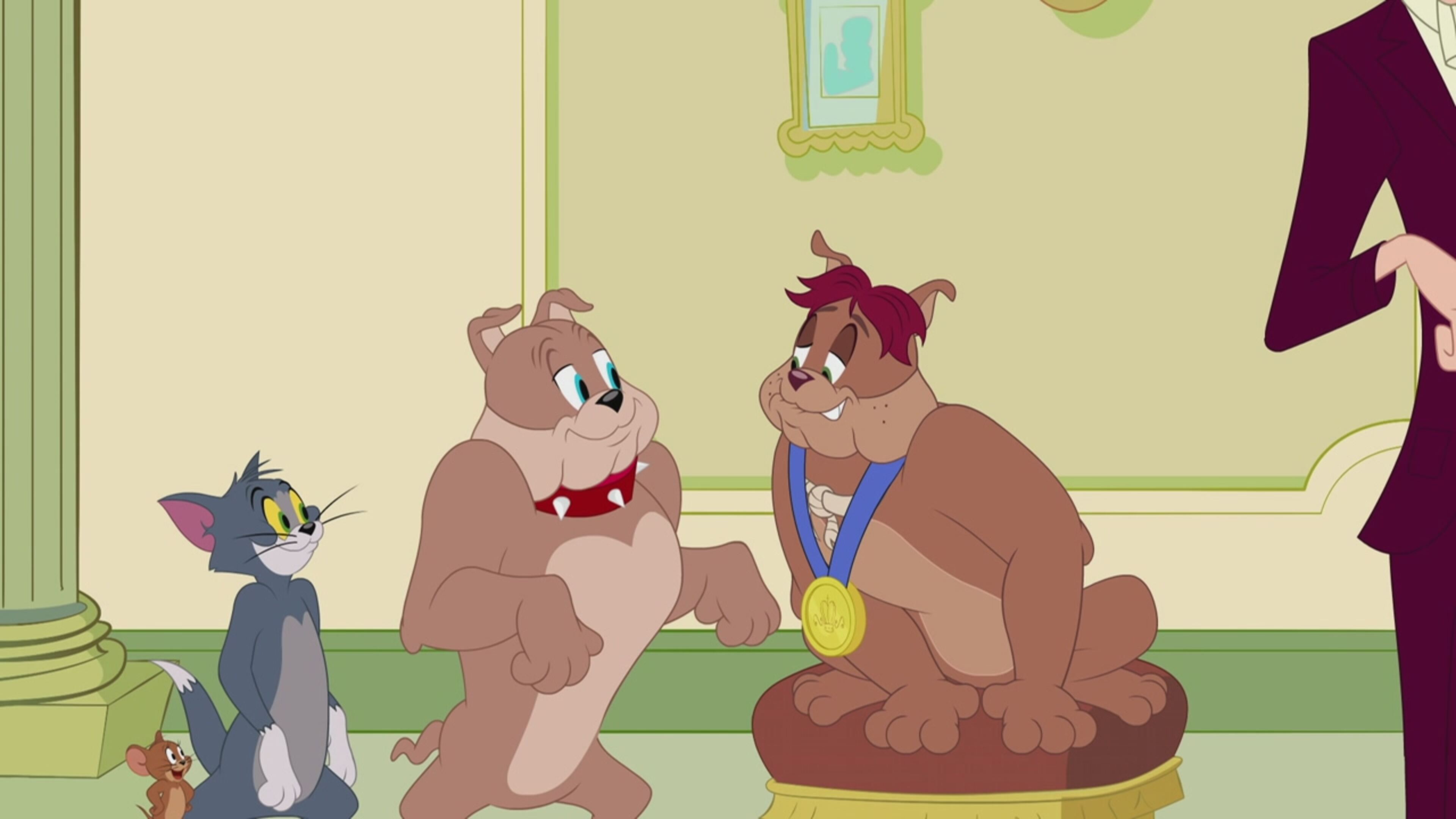 The Tom and Jerry Show - S5 Ep.36 - Lord Spike