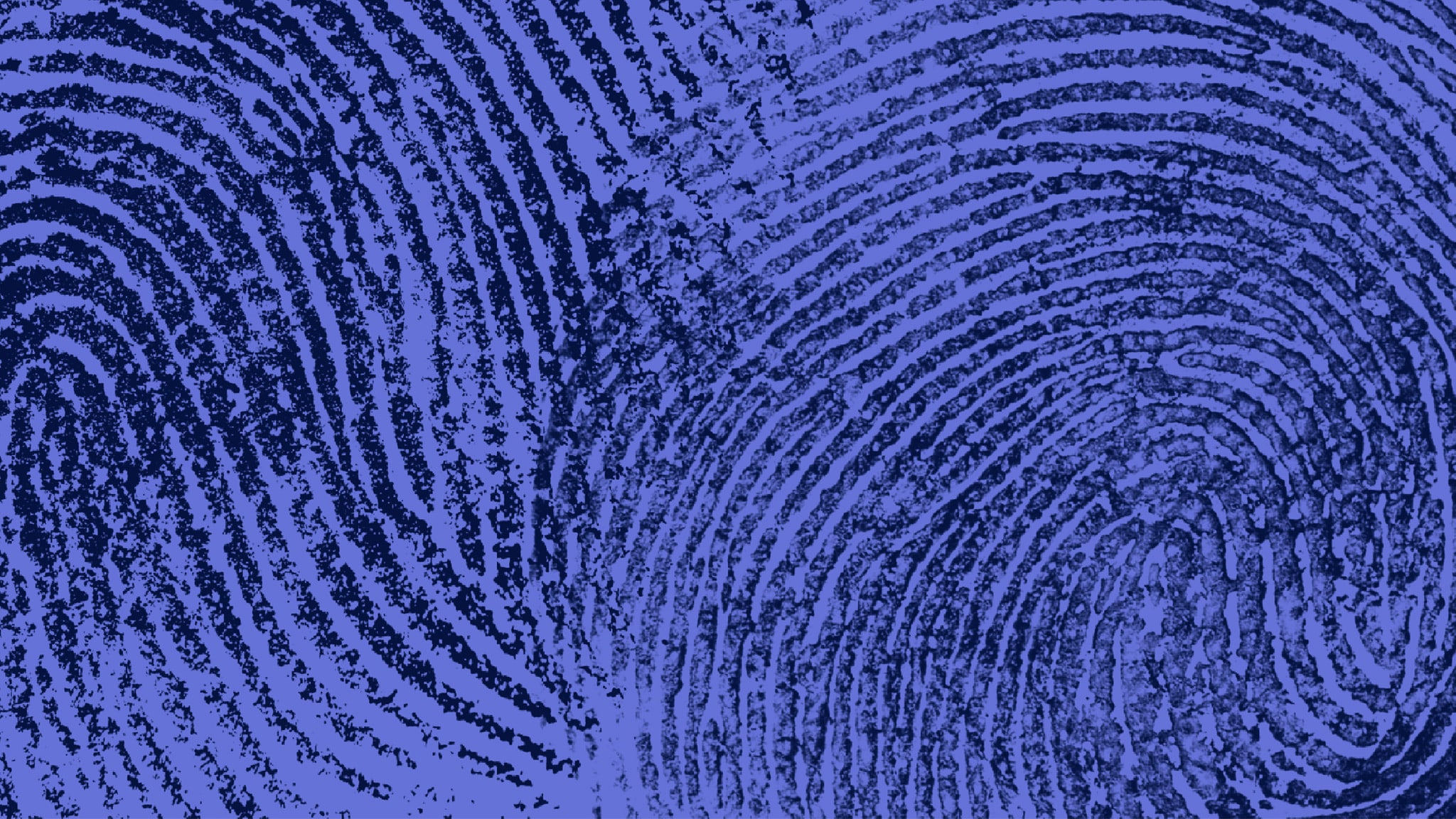 Tg2 Storie - I racconti della settimana - Puntata del  01/01/2026