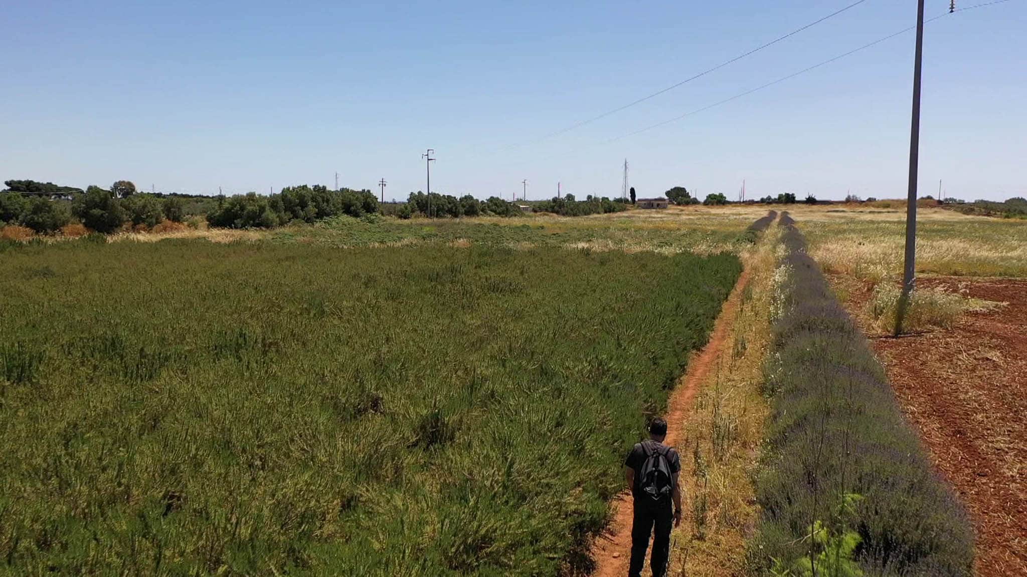 CAMMINA ITALIA / BICI ITALIA