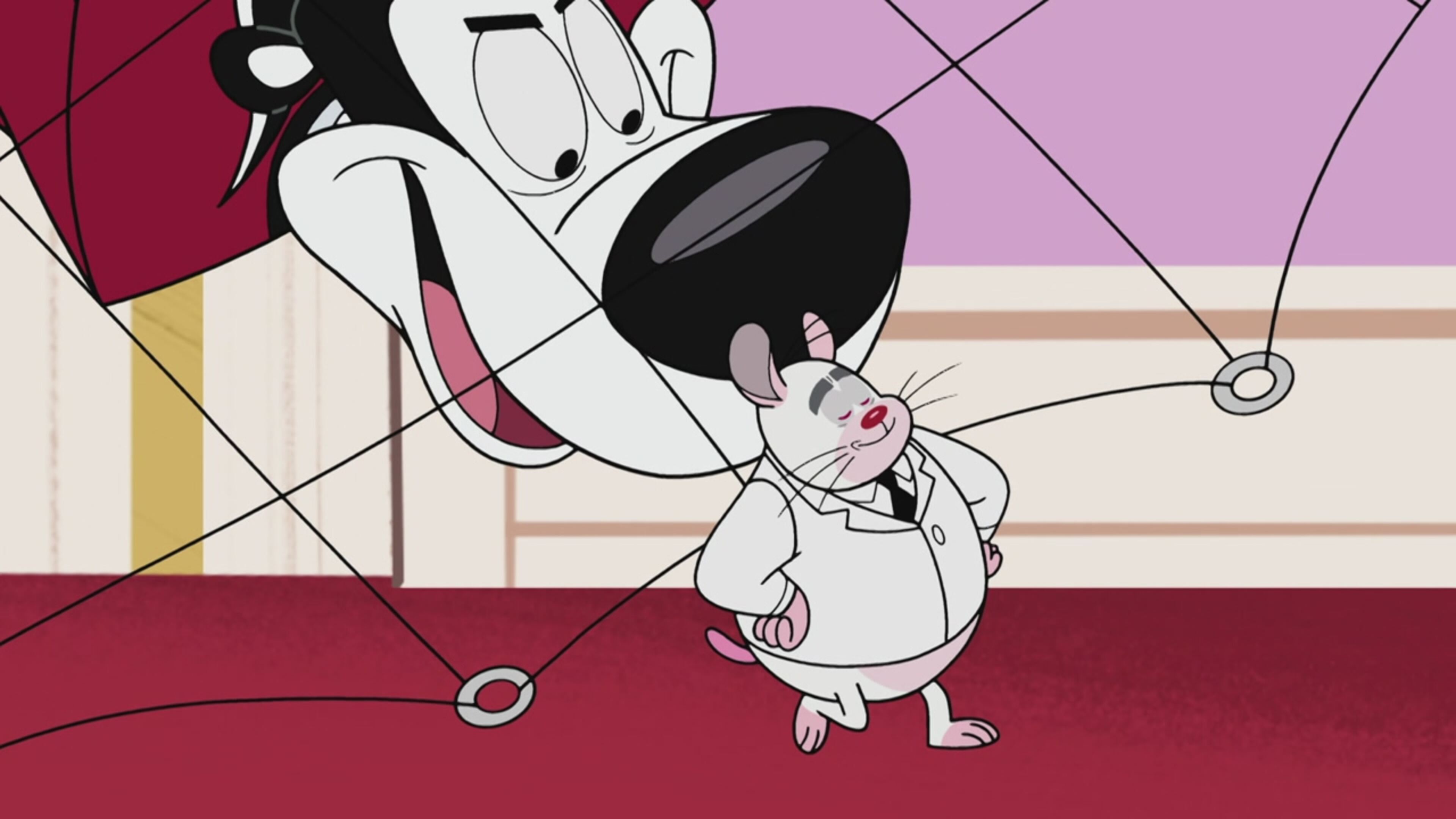 New Looney Tunes - S3 Ep.13 - Daffy Duck: guru motivazionale/ La teoria del criceto