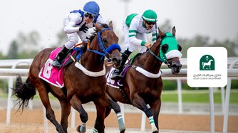 Prince Sultan Bin Abdulaziz Festival Race Night 2