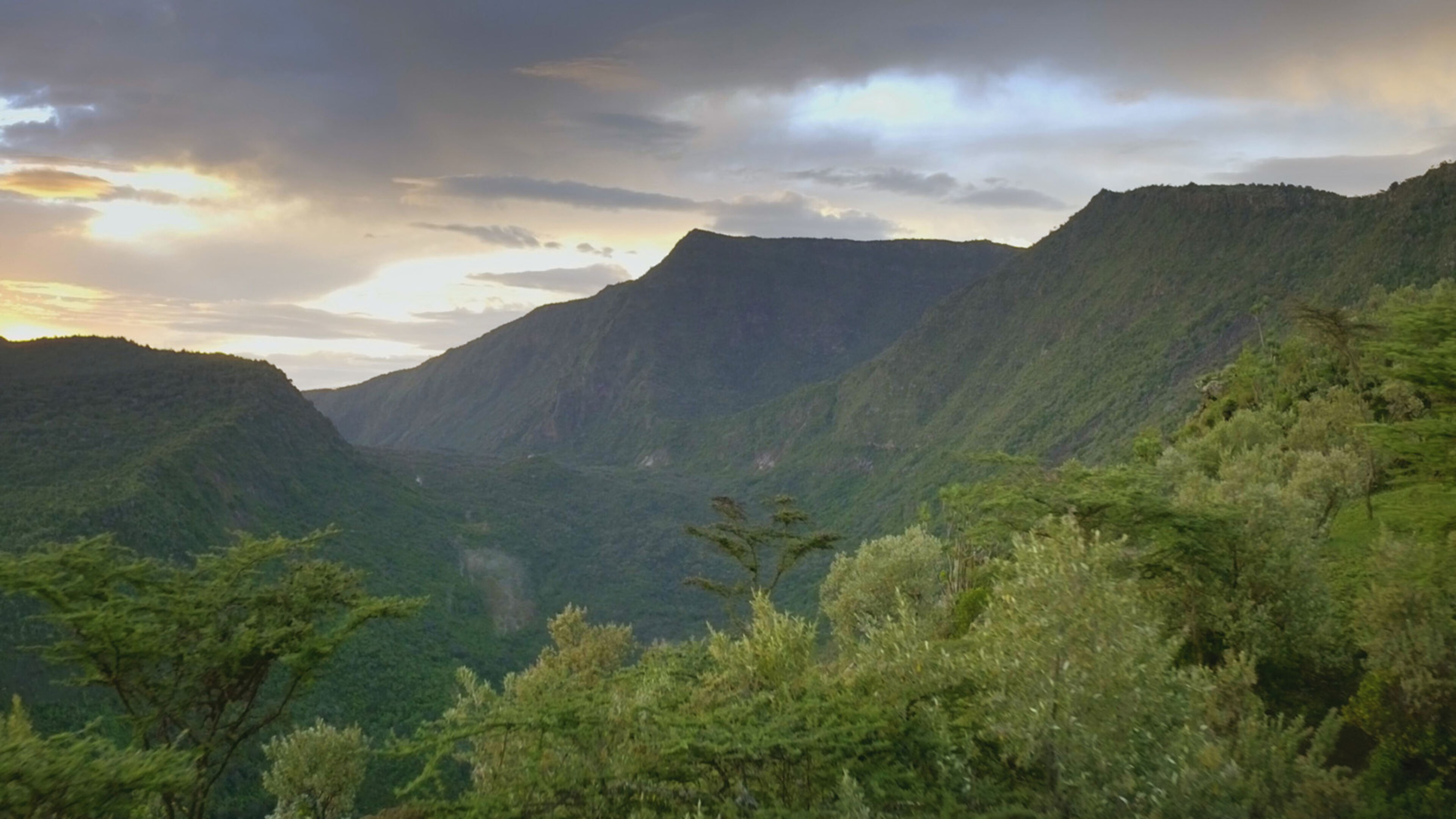 Il mondo tropicale - DEU 2023