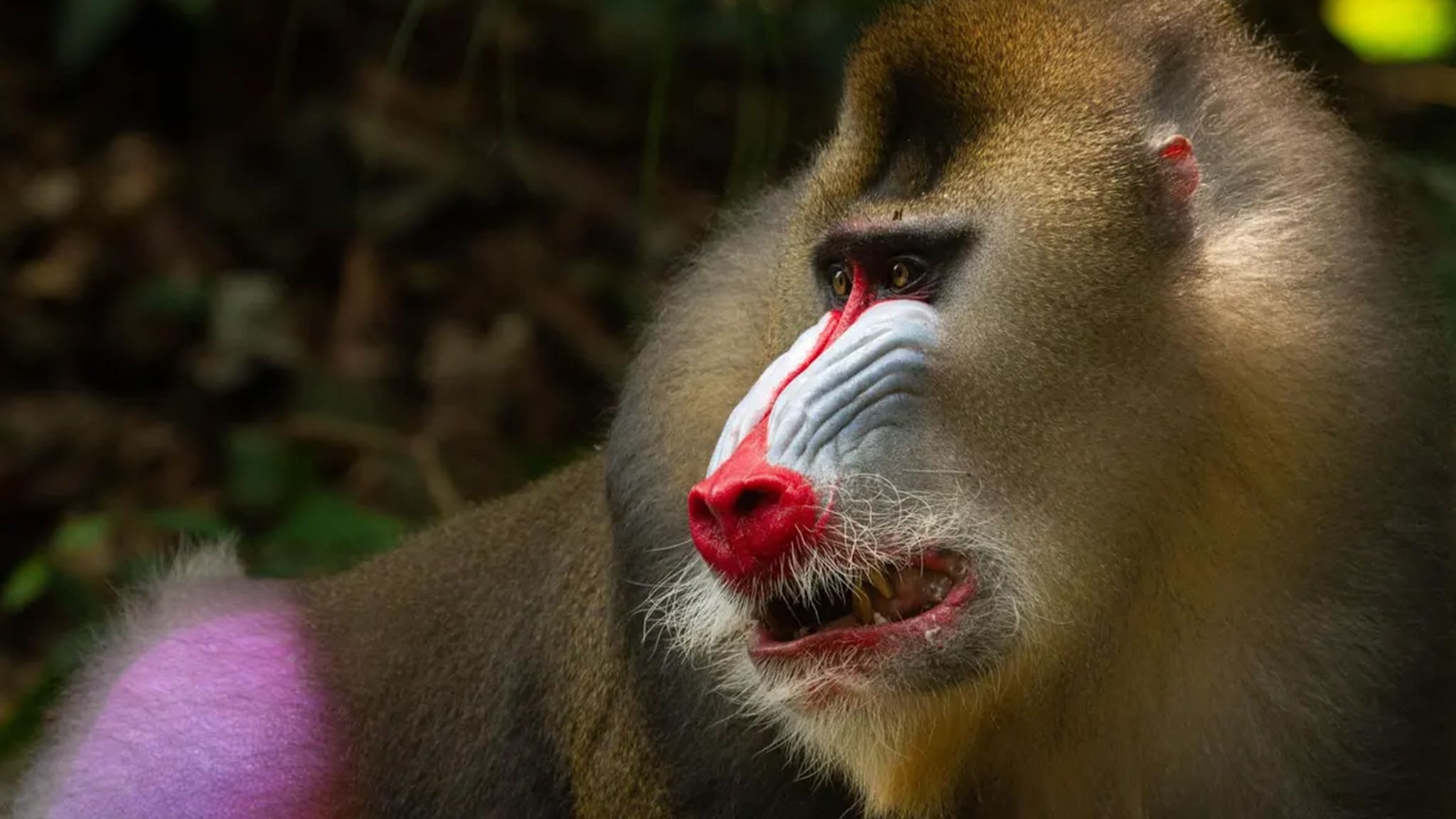 La vita a colori Ep.2