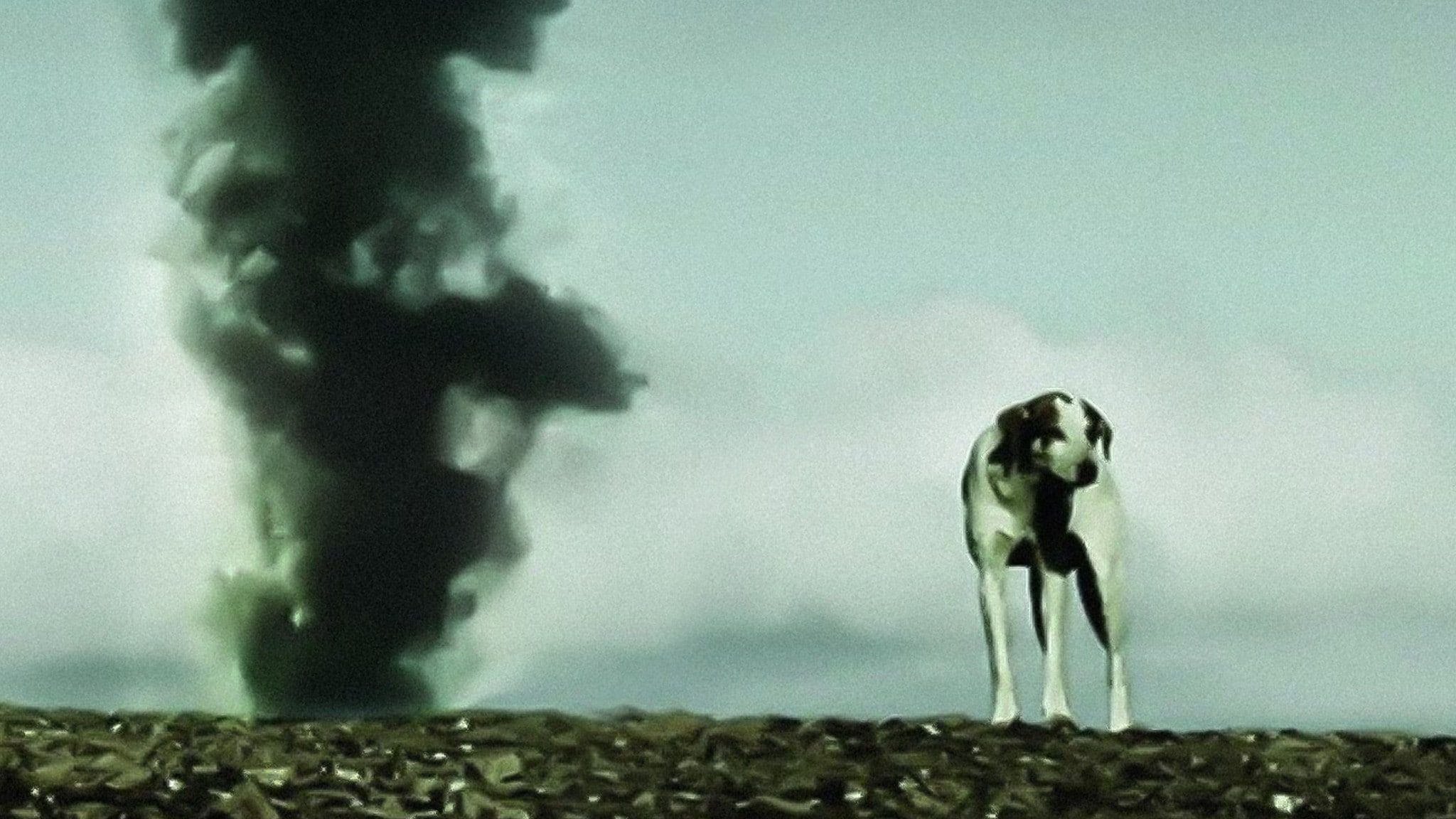 Passepartout: La materia oscura