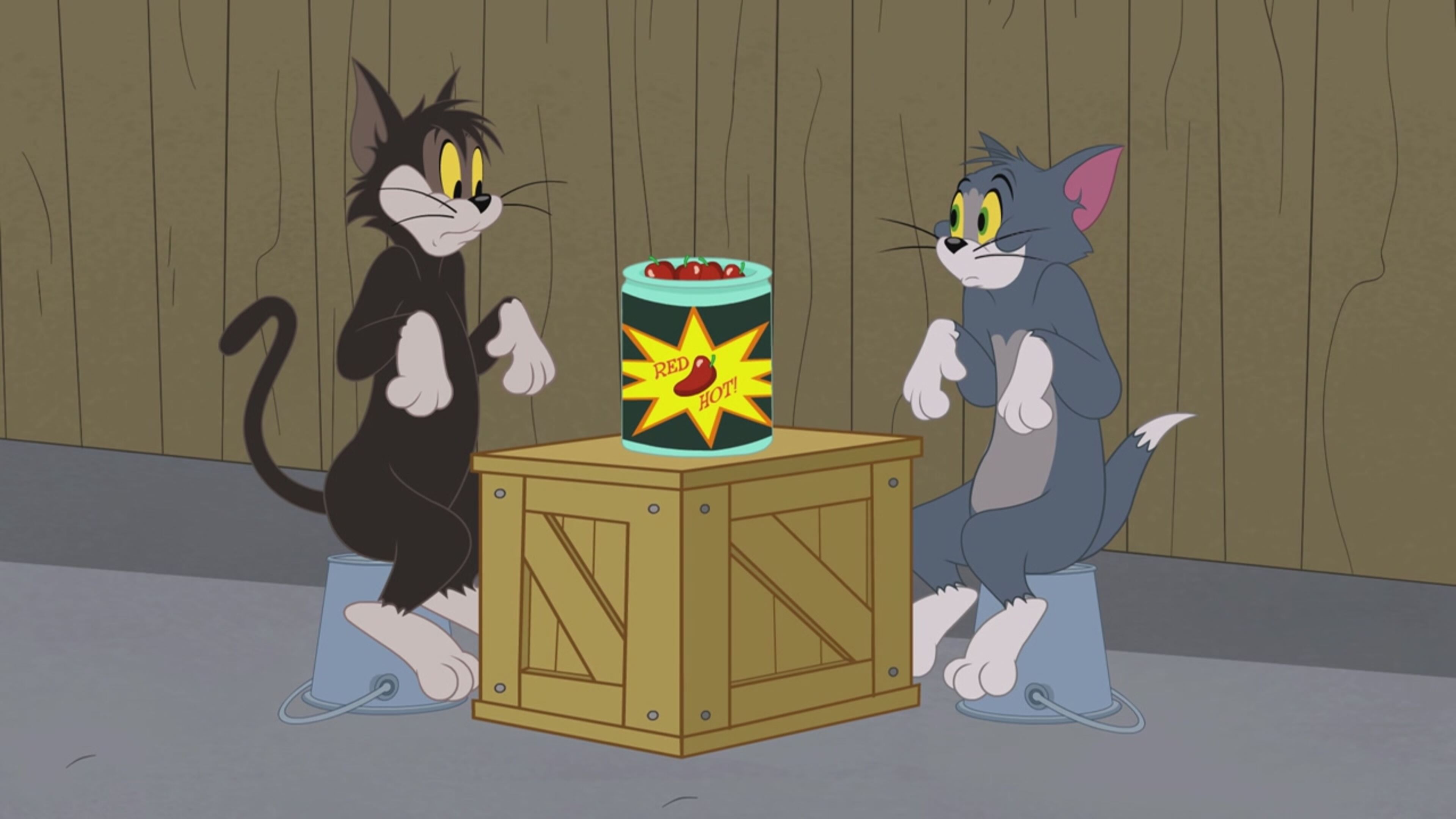 The Tom and Jerry Show - S4 Ep.34 - Gara per tipi tosti